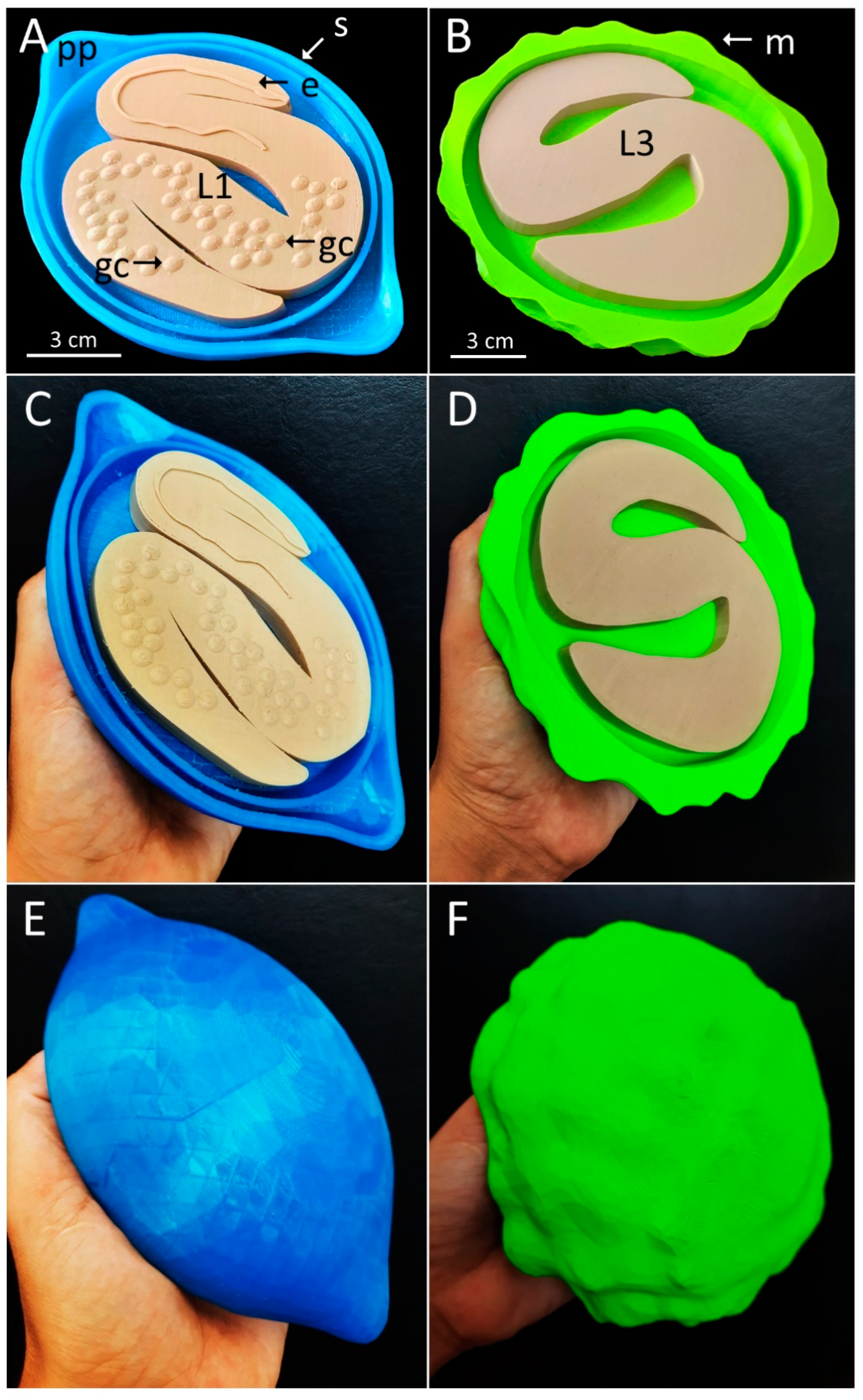 Tropicalmed 07 00216 g003 Tropicalmed 07 00216 g003