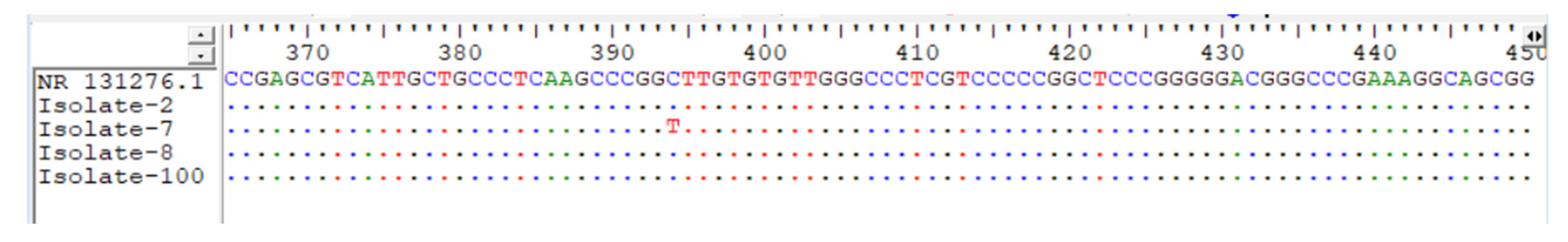 TropicalMed | Free Full-Text | Molecular Characterization and ...