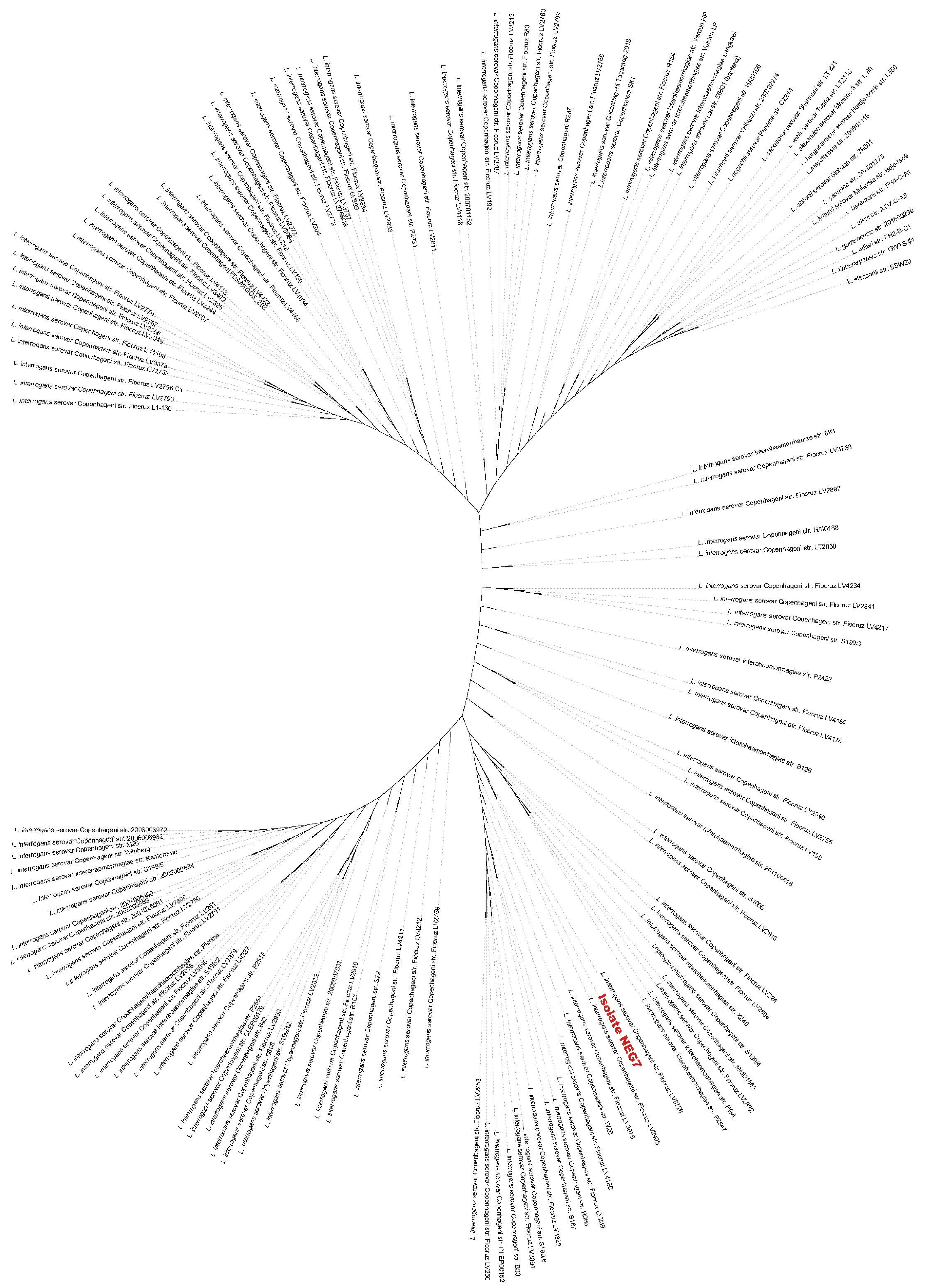 Tropicalmed 07 00333 g003 Tropicalmed 07 00333 g003