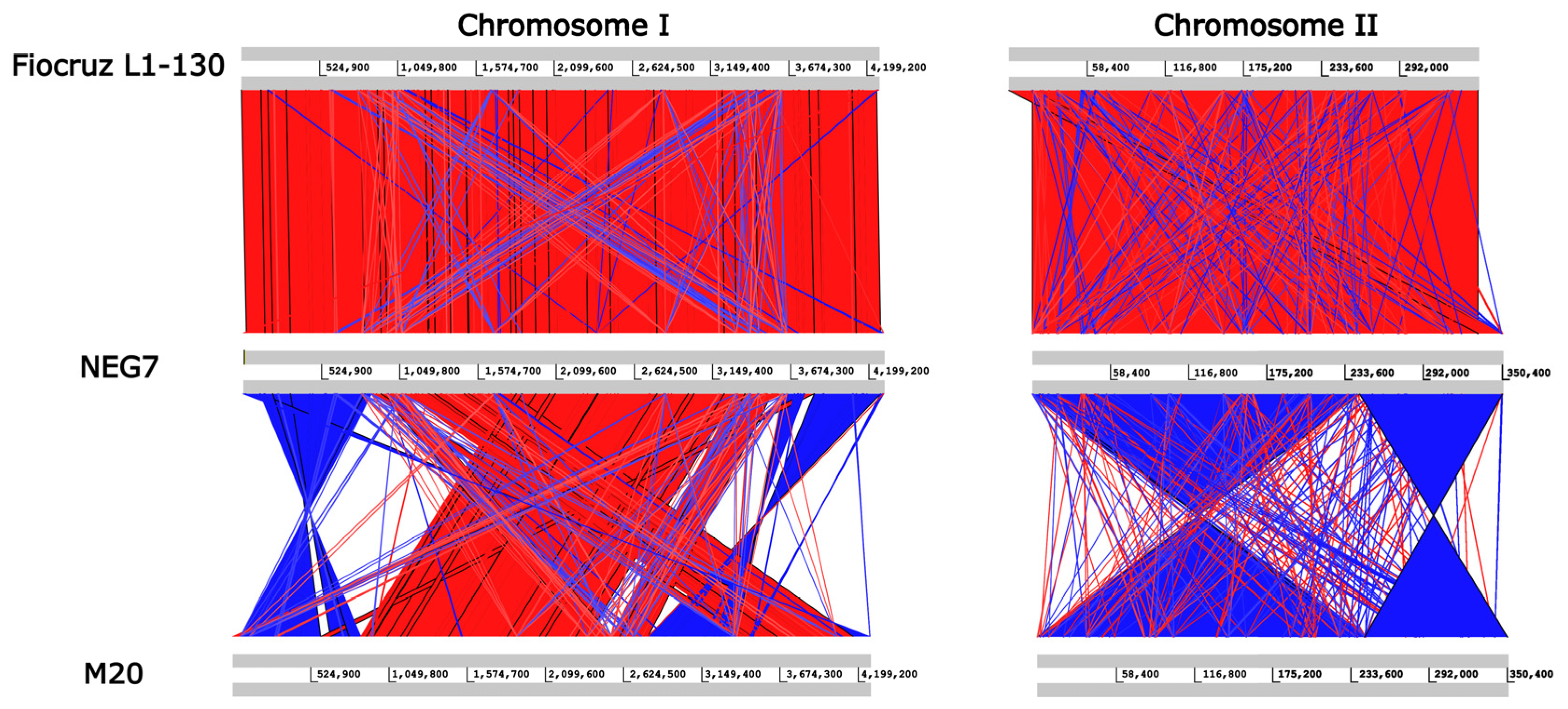 Tropicalmed 07 00333 g004 Tropicalmed 07 00333 g004