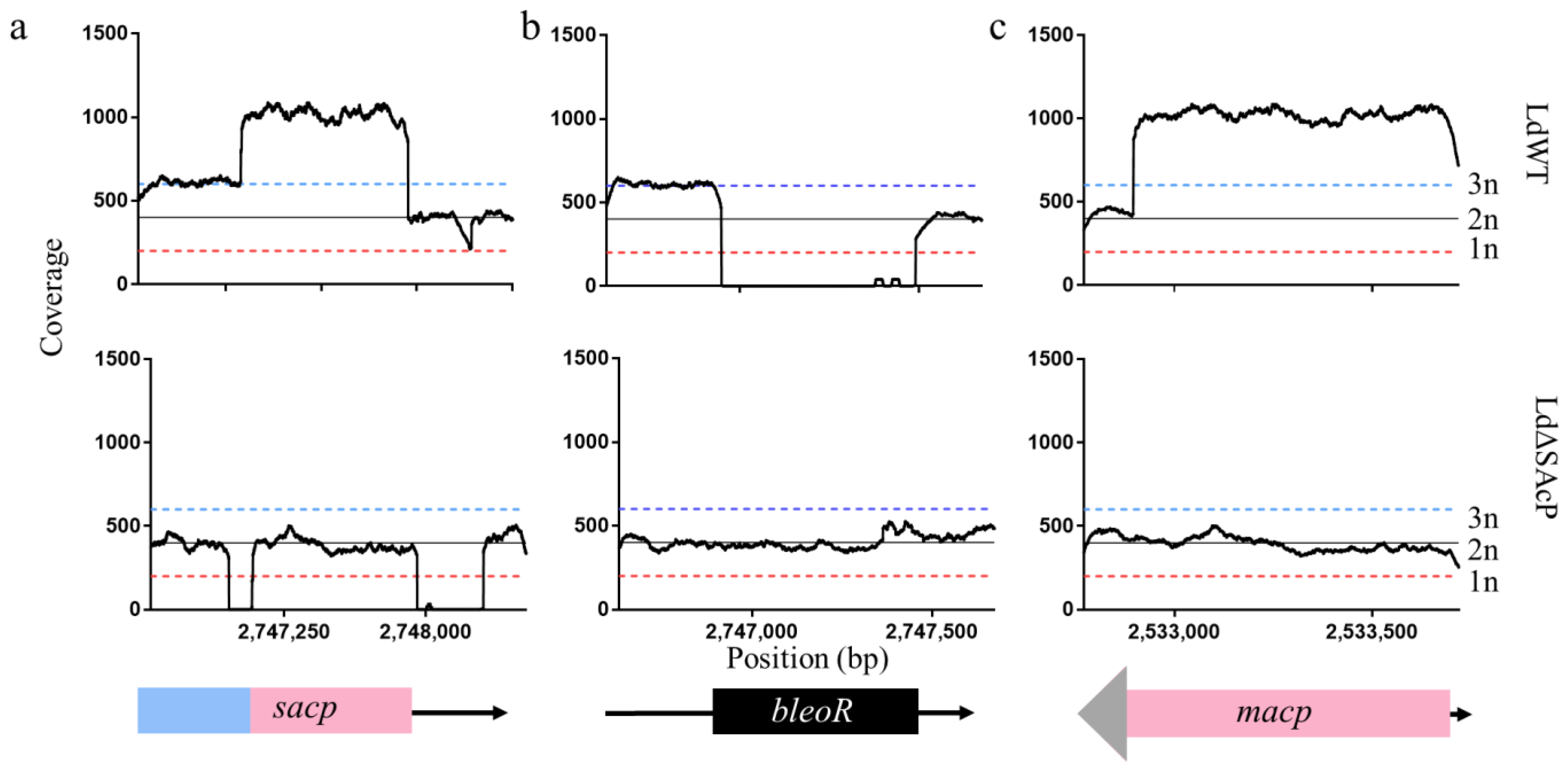 Tropicalmed 07 00384 g004