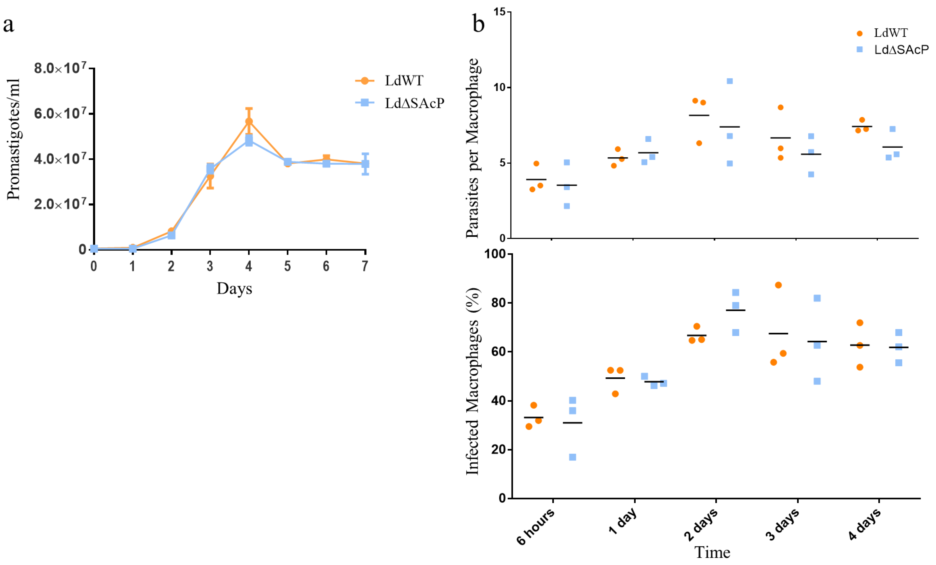 Tropicalmed 07 00384 g006