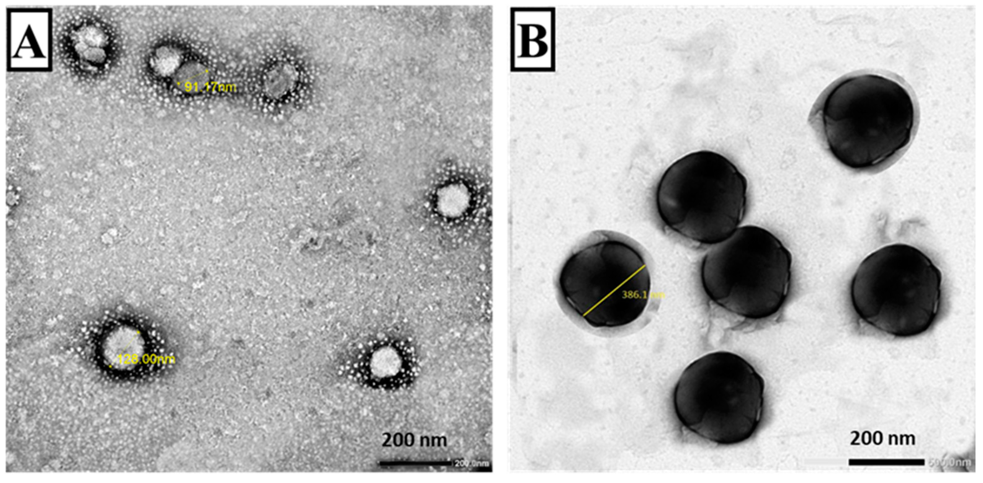 Tropicalmed 07 00401 g003