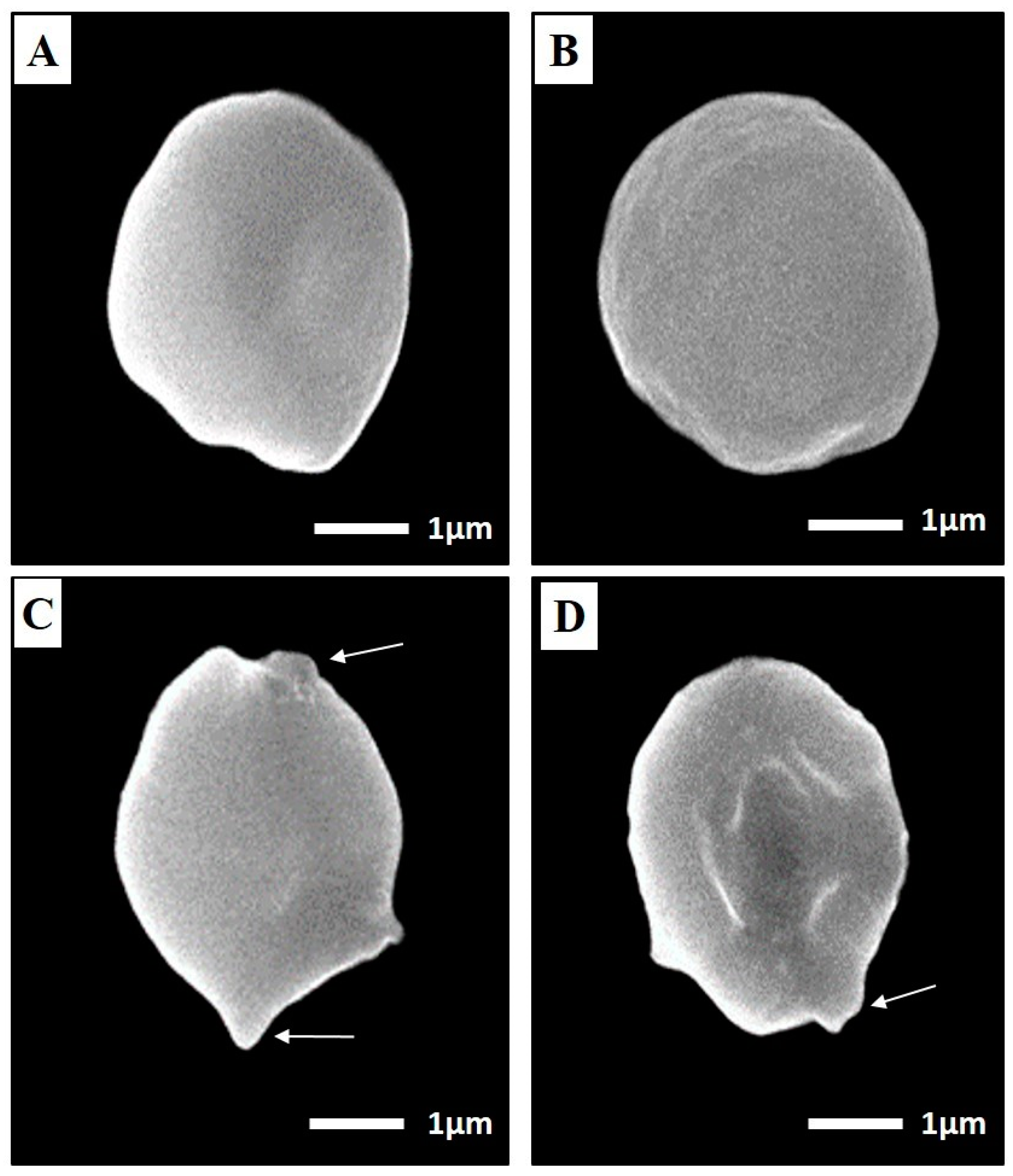 Tropicalmed 07 00401 g007