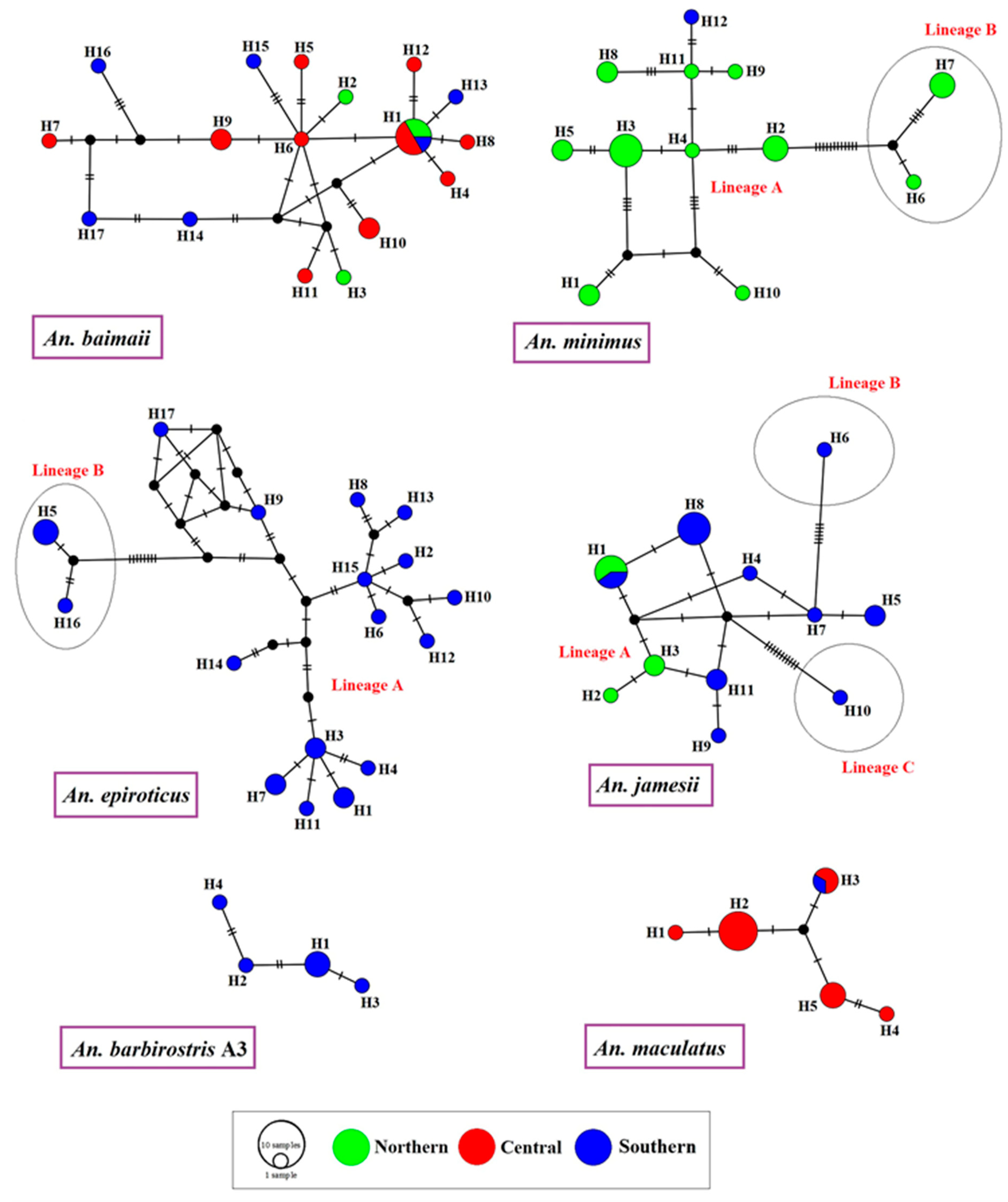 Tropicalmed 07 00412 g003