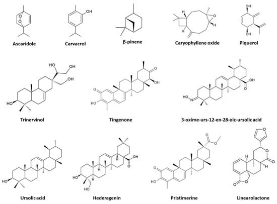 TropicalMed | Free Full-Text | Essential Oils and Terpenic Compounds as  Potential Hits for Drugs against Amitochondriate Protists
