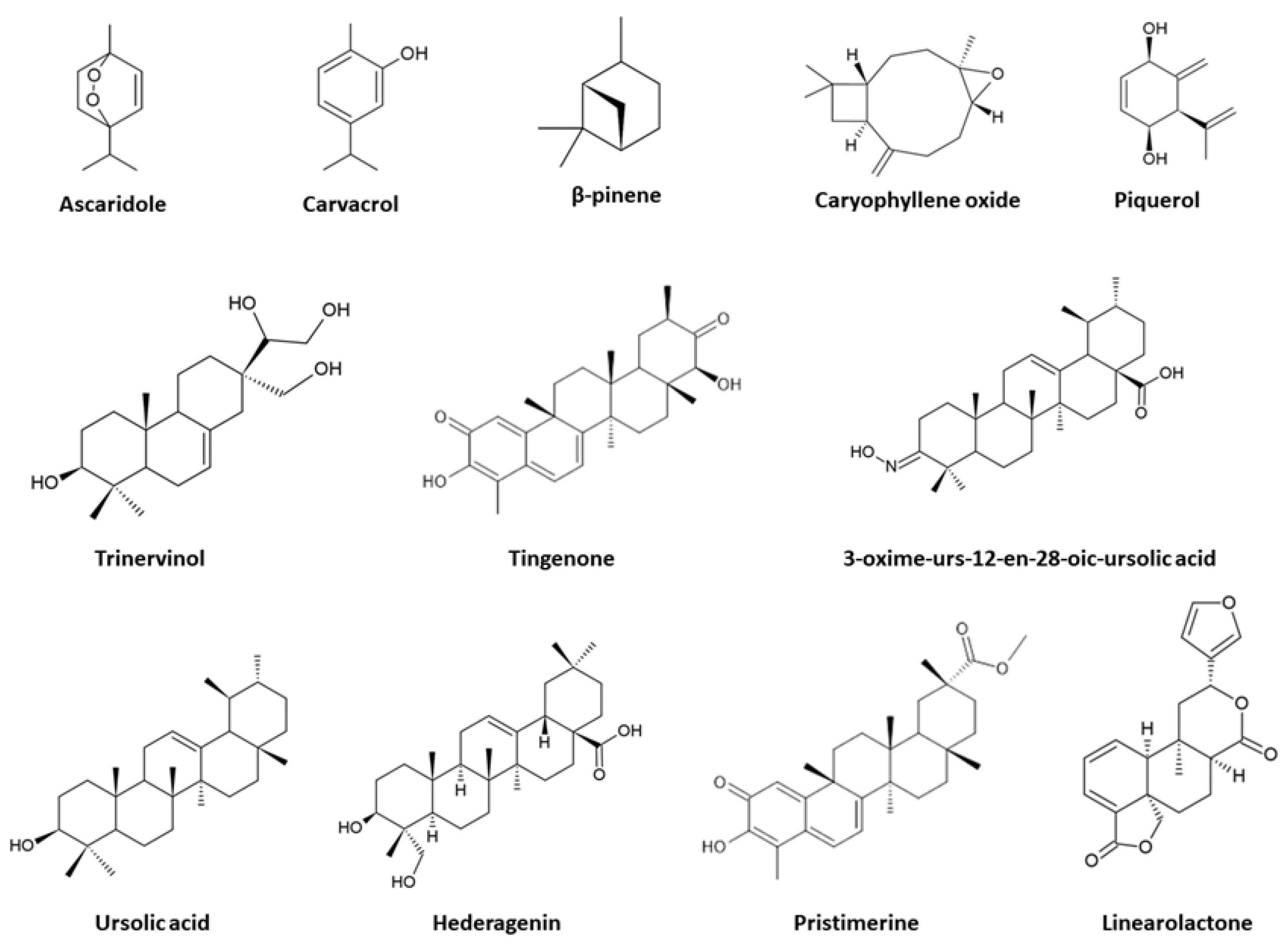 Tropicalmed 08 00037 g001