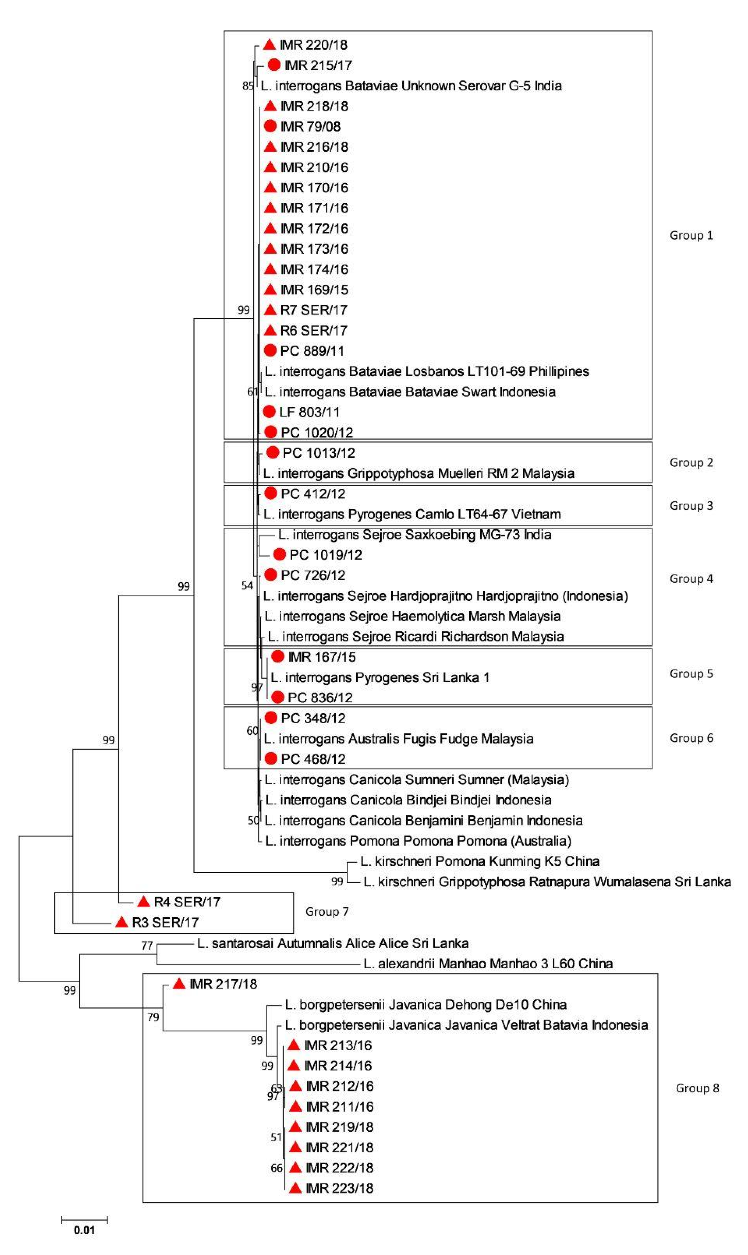 Tropicalmed 08 00069 g001 Tropicalmed 08 00069 g001