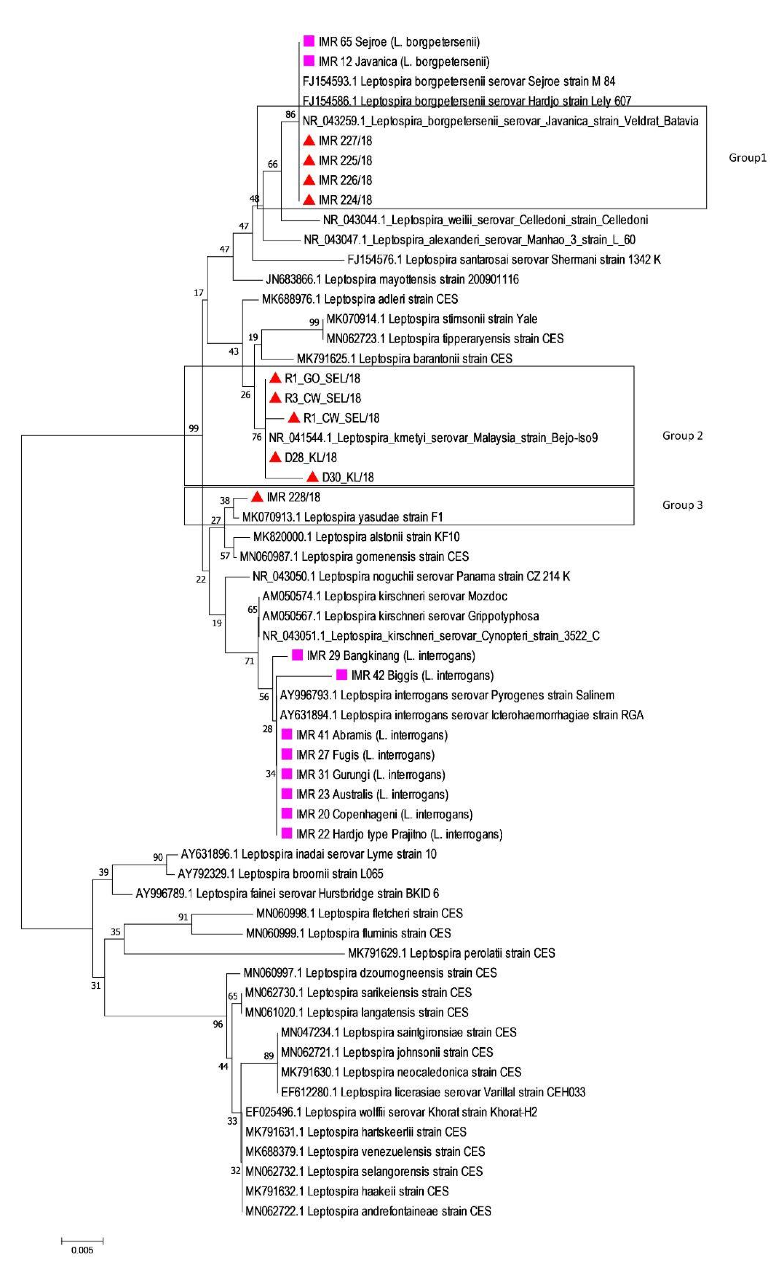 Tropicalmed 08 00069 g002 Tropicalmed 08 00069 g002