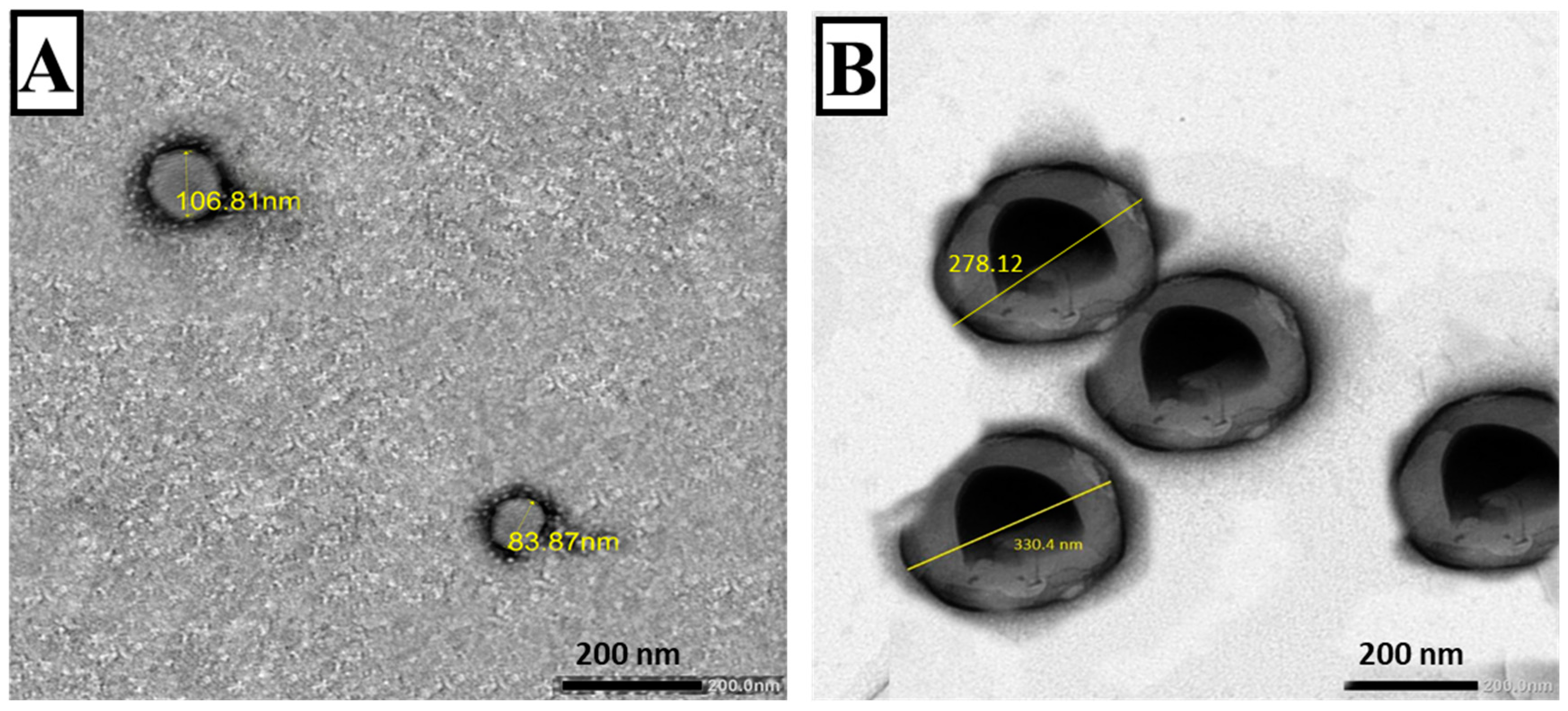 Tropicalmed 08 00106 g002