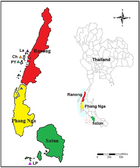 File:Central phuket.jpg - Wikipedia