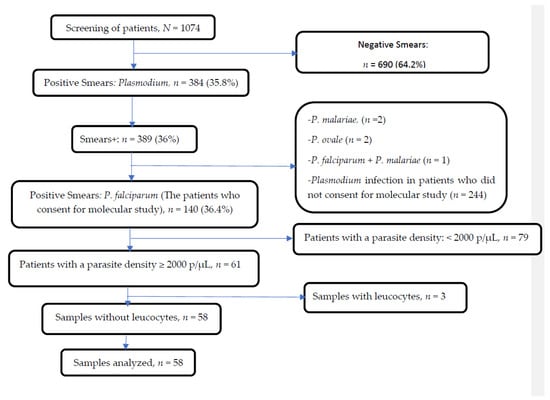 Prevalence of molecular markers of resistance to sulfadoxine