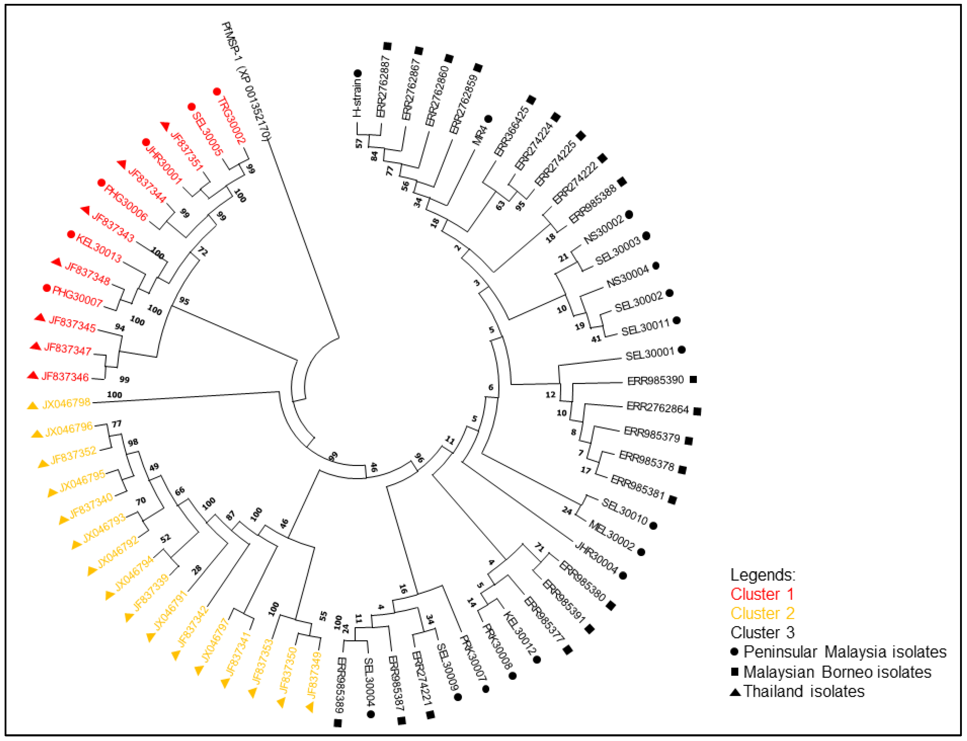 Tropicalmed 08 00285 g002