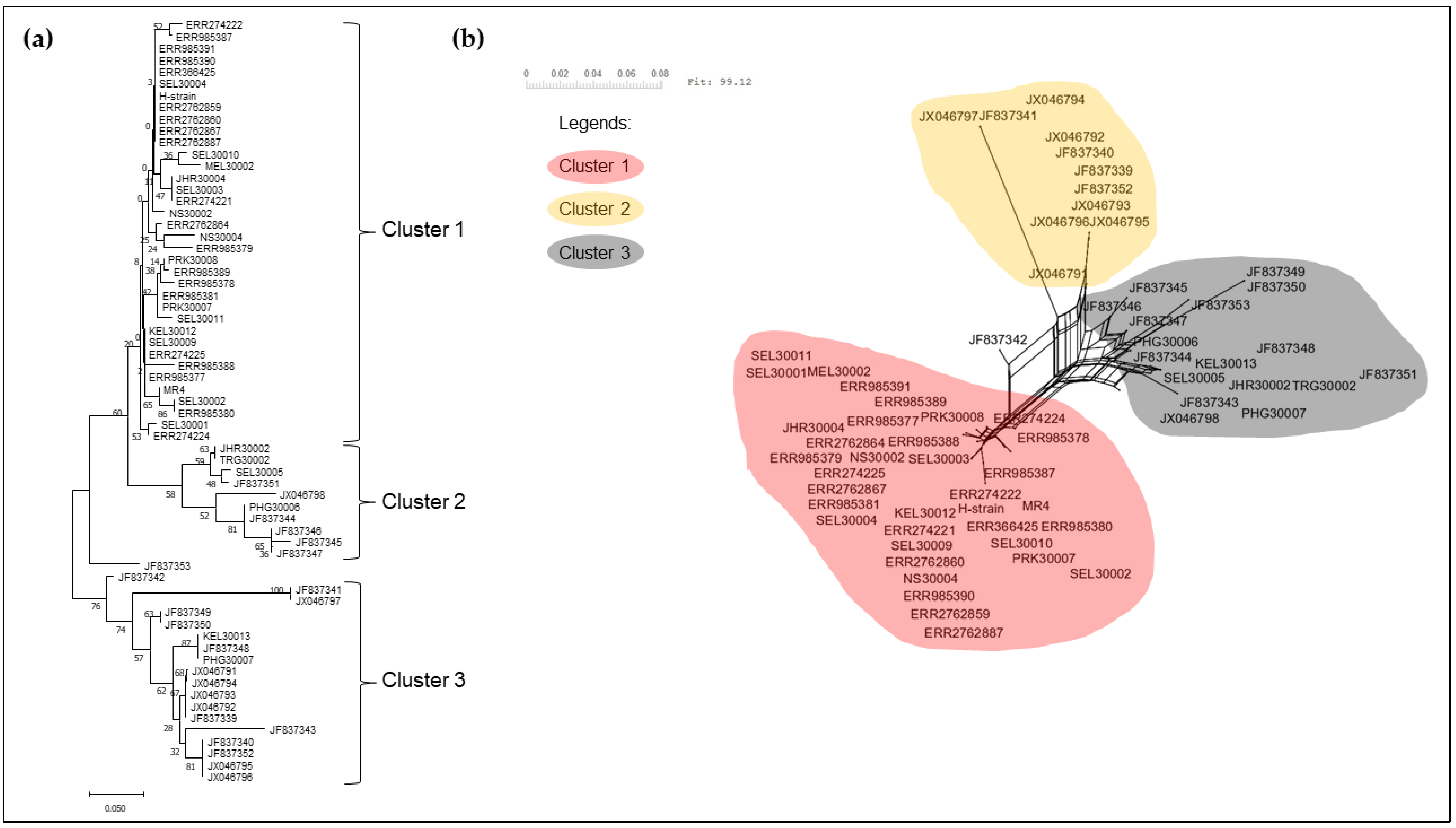Tropicalmed 08 00285 g006