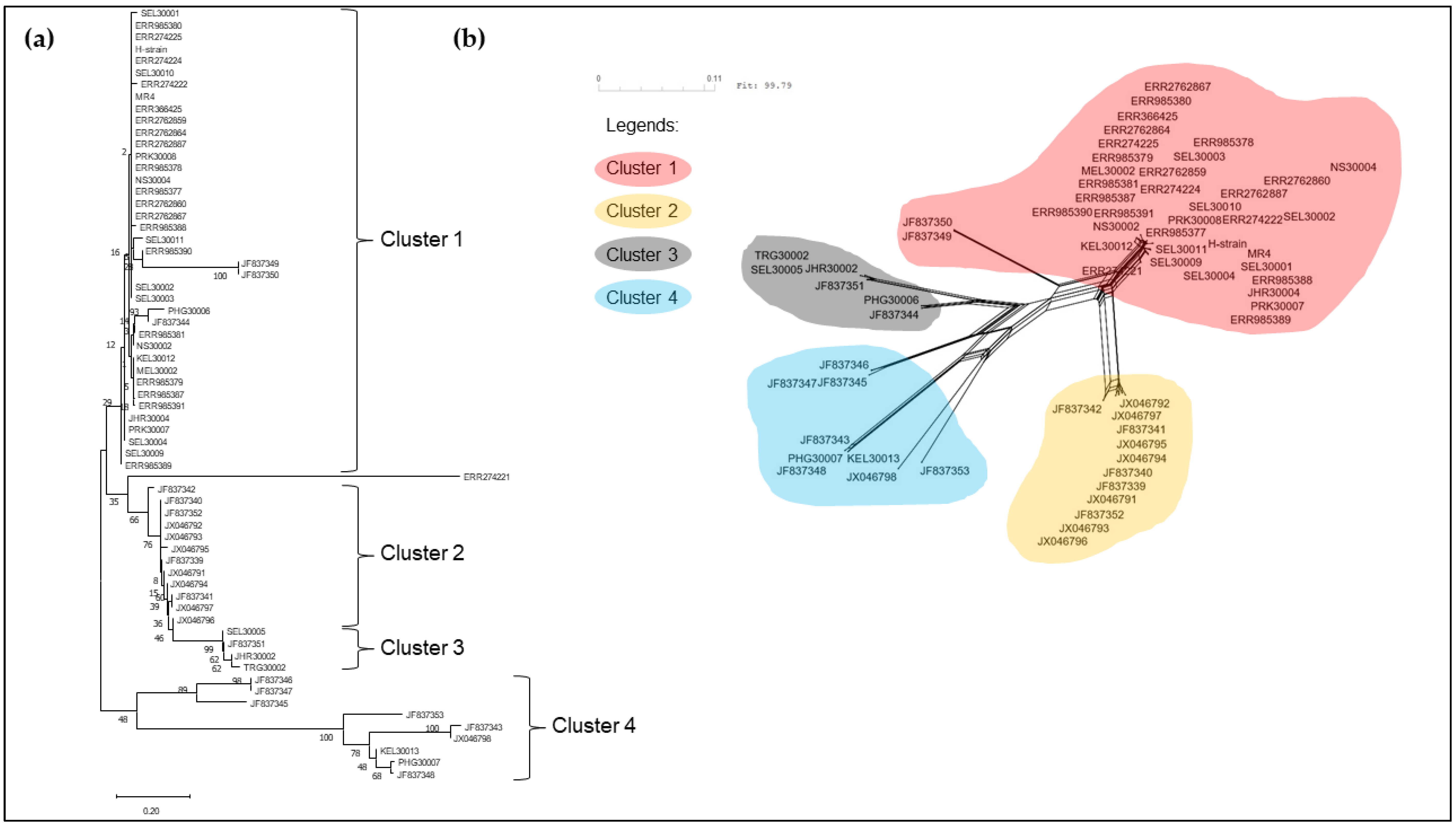 Tropicalmed 08 00285 g007