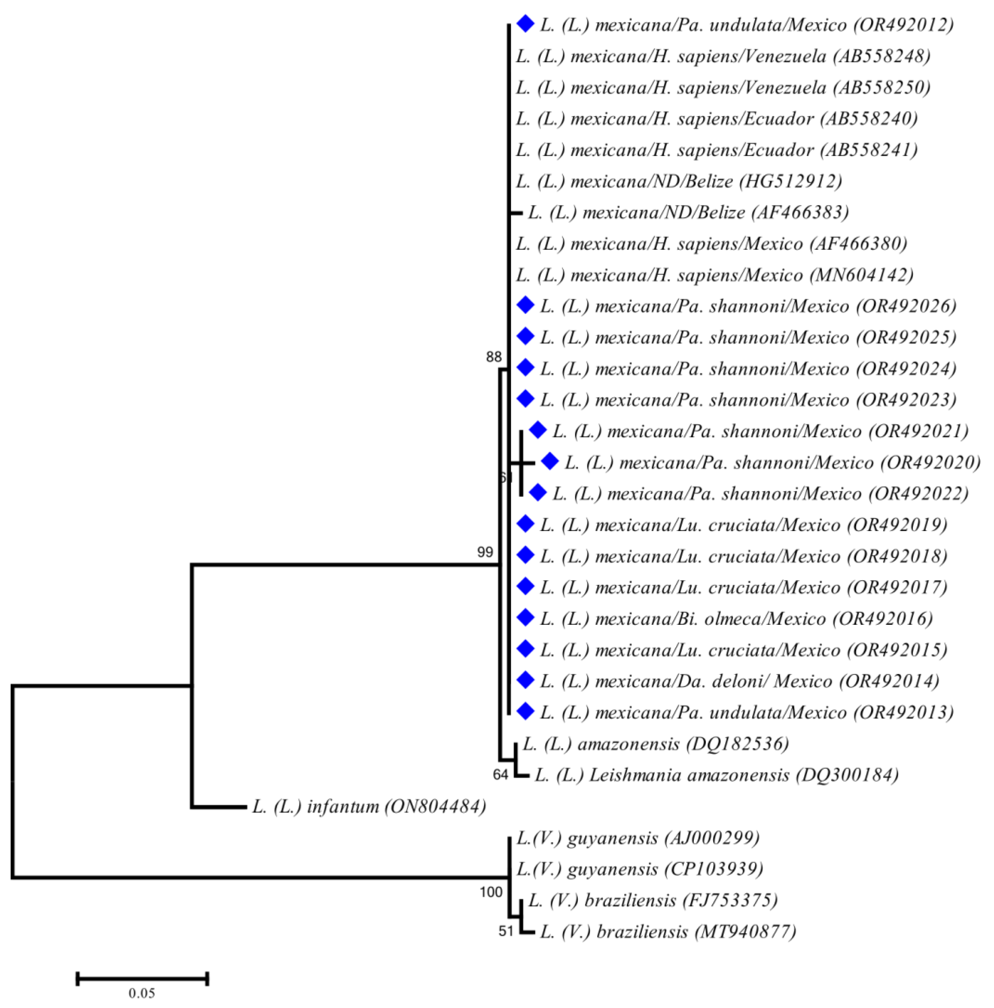 Tropicalmed 08 00465 g002 Tropicalmed 08 00465 g002