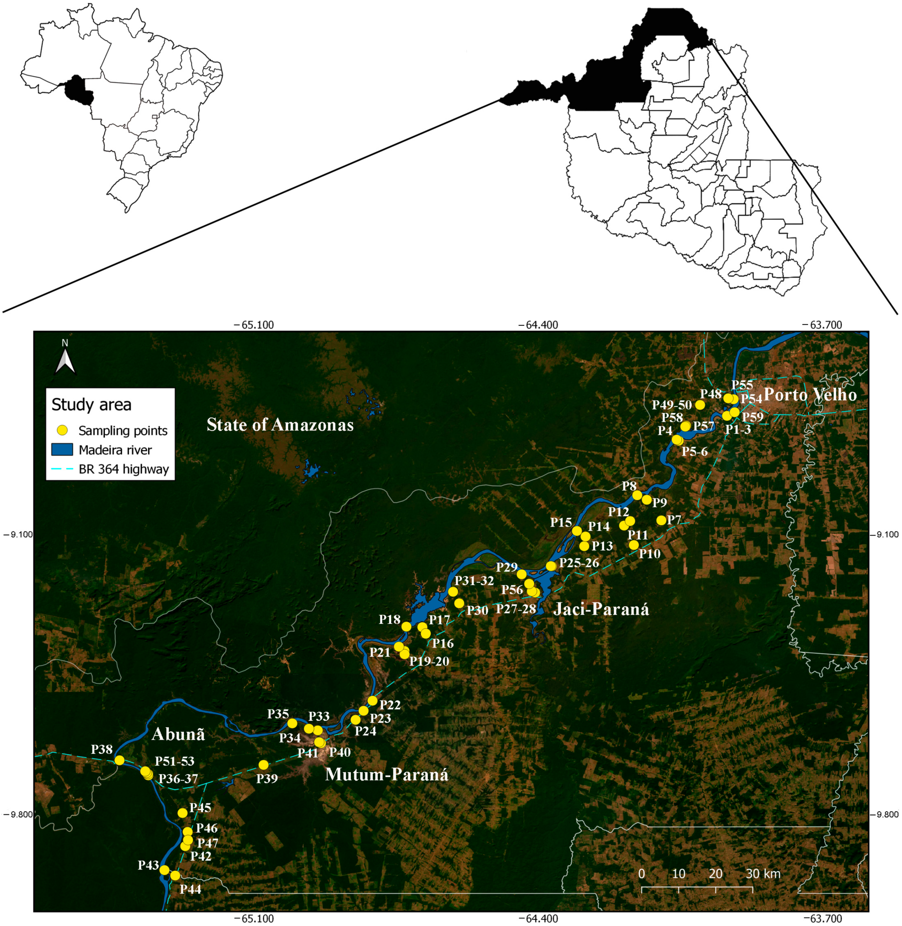 TropicalMed | Free Full-Text | Bioecological Aspects of Species of the  Subgenus Mansonia (Mansonia) (Diptera: Culicidae) Prior to the Installation  of Hydroelectric Dams on the Madeira River, Rond&ocirc;nia State, Brazil
