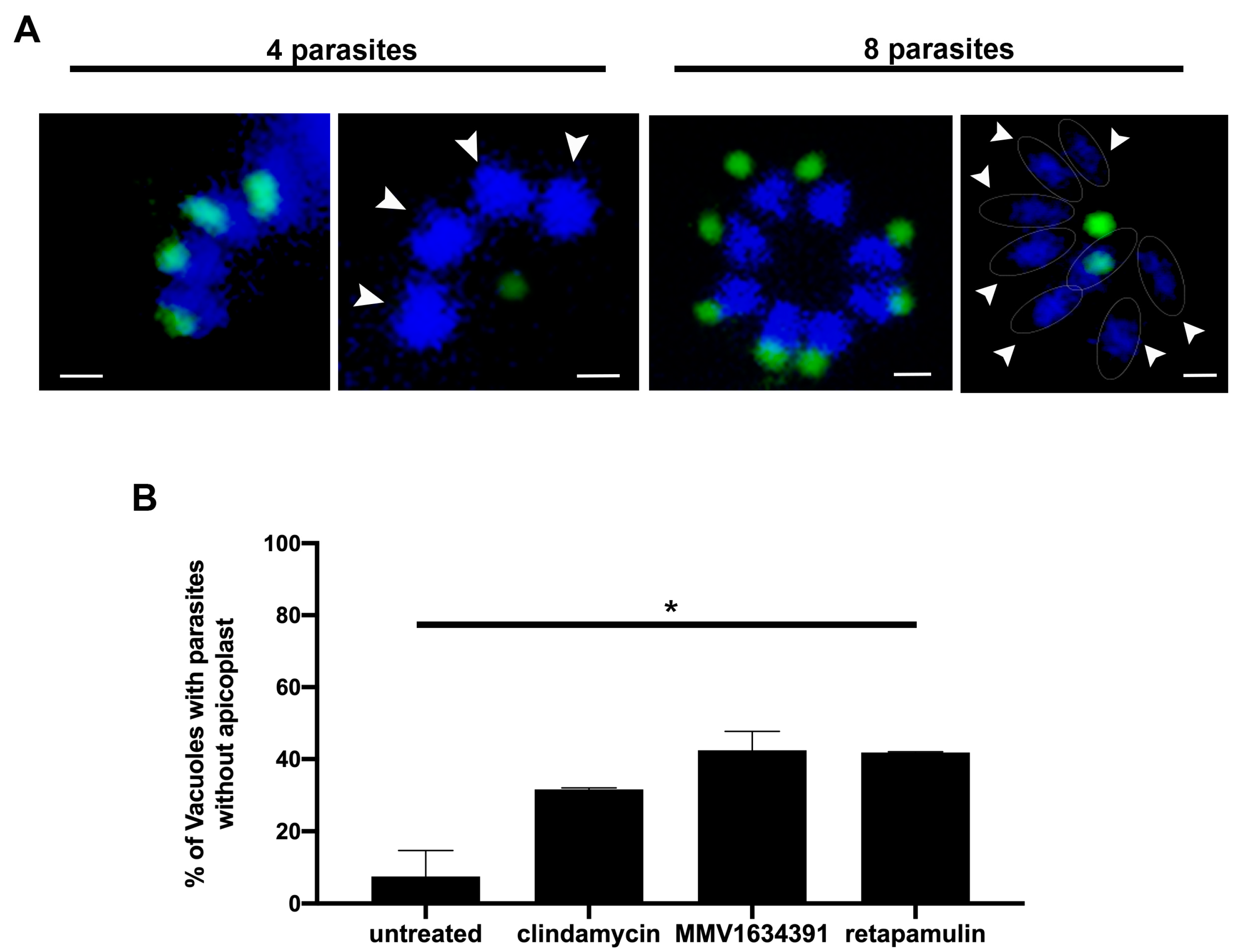Tropicalmed 08 00510 g006