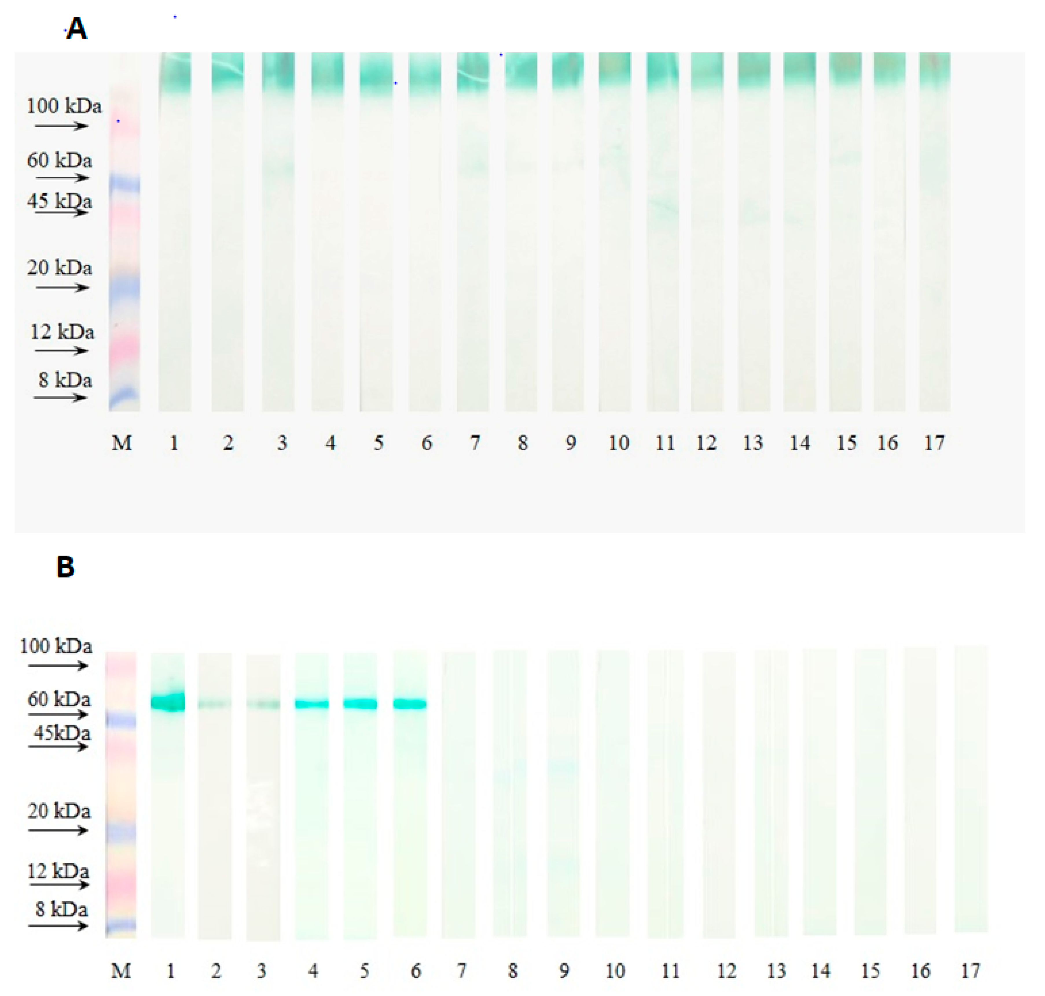 Tropicalmed 09 00001 g001 Tropicalmed 09 00001 g001