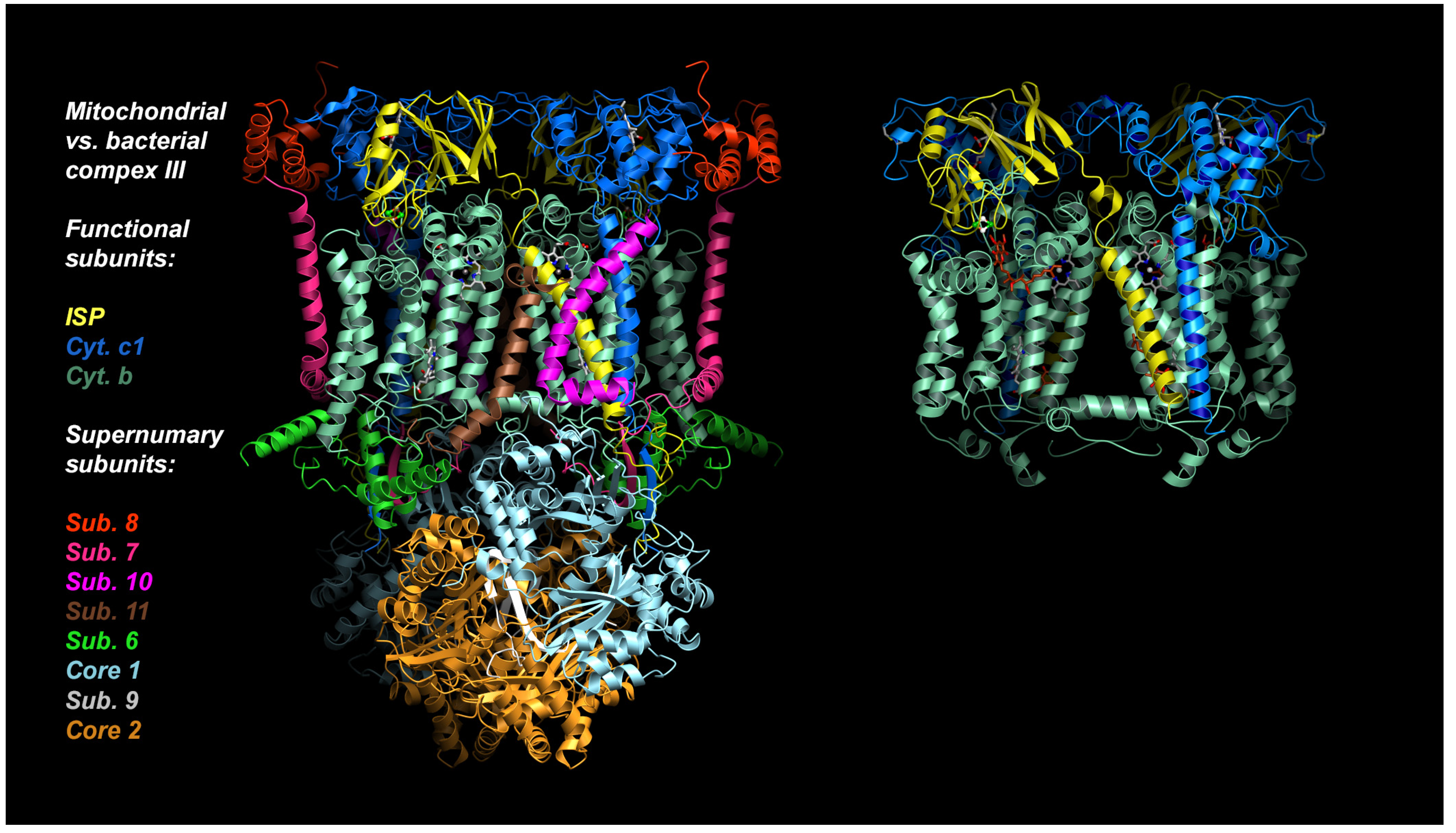 Tropicalmed 09 00039 g002