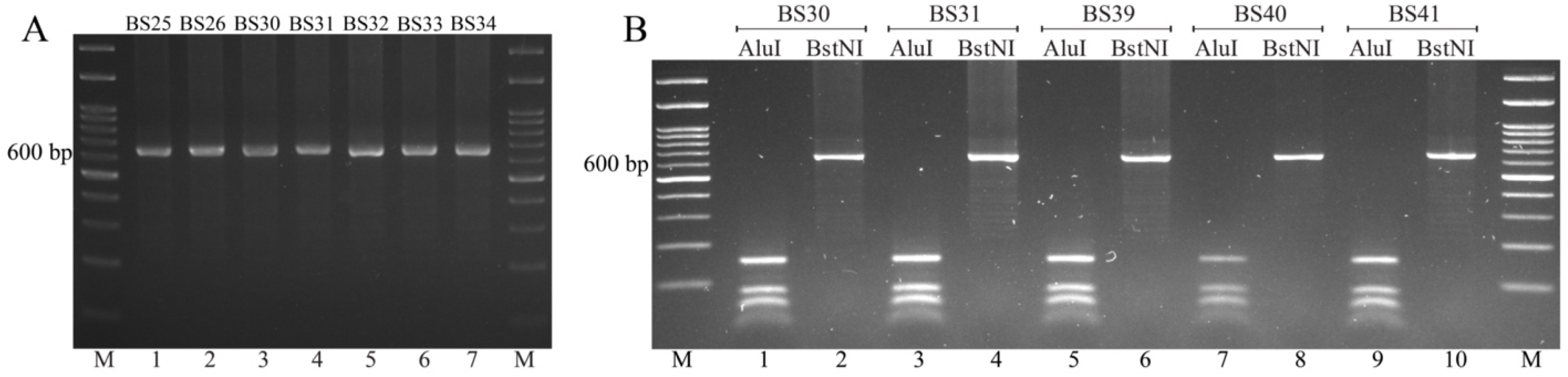 Tropicalmed 09 00094 g002 Tropicalmed 09 00094 g002