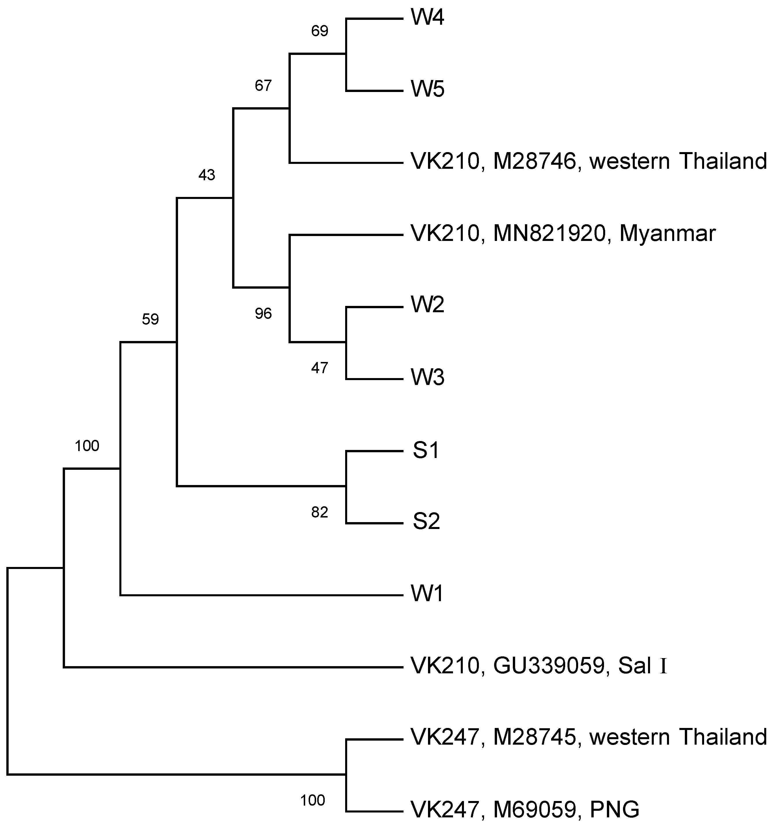 Tropicalmed 09 00094 g004 Tropicalmed 09 00094 g004