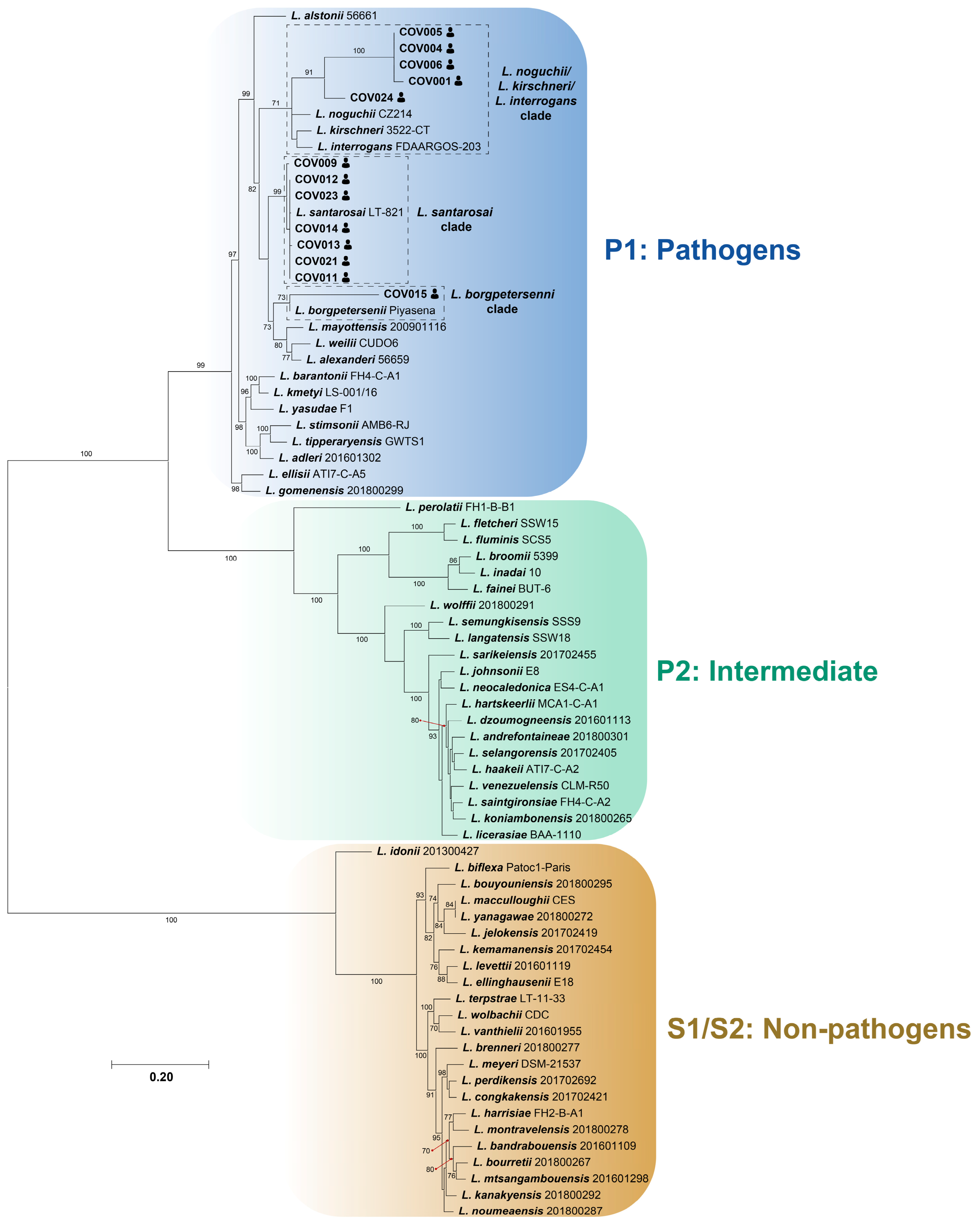 Tropicalmed 09 00168 g001 Tropicalmed 09 00168 g001