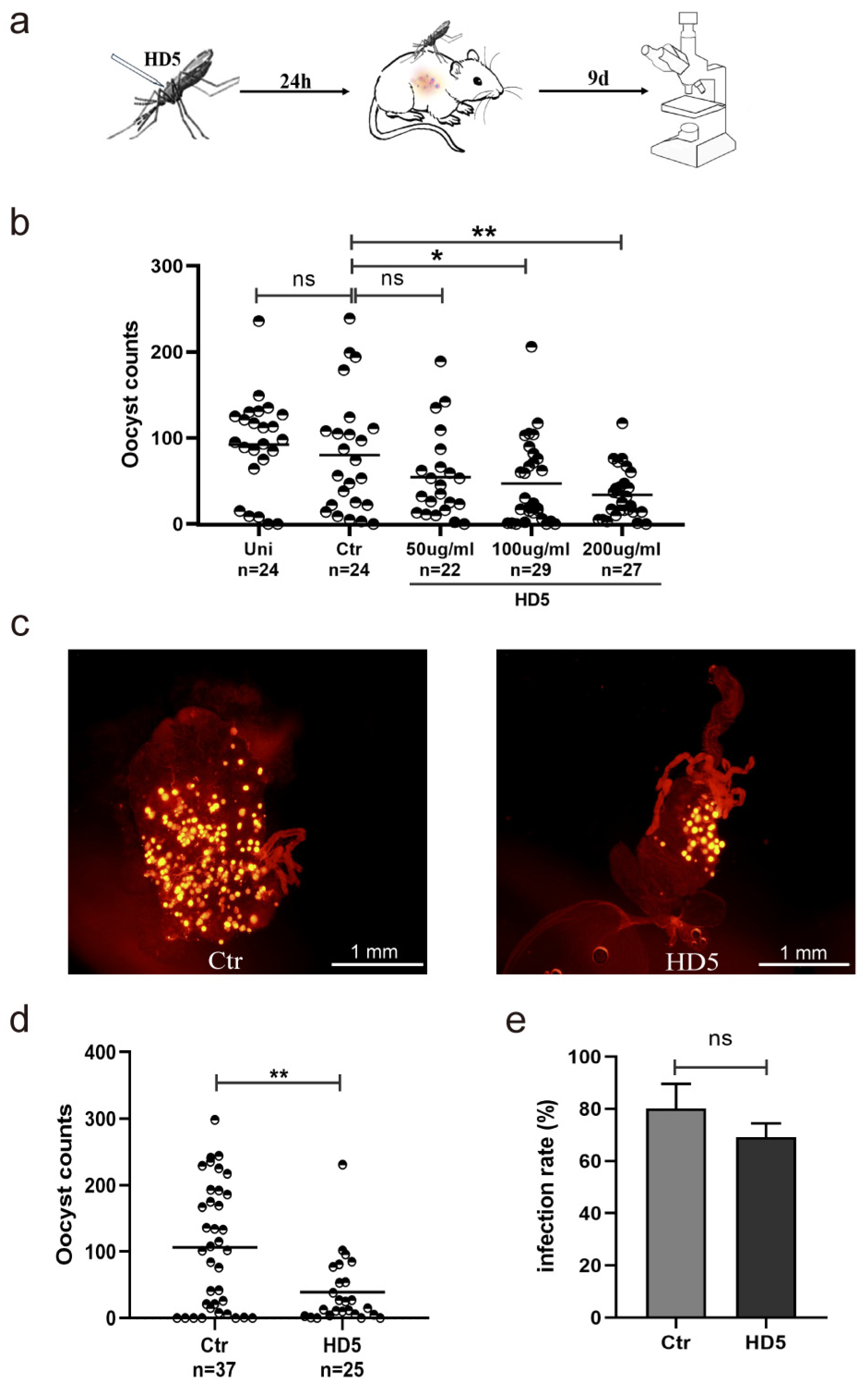 Tropicalmed 09 00169 g001