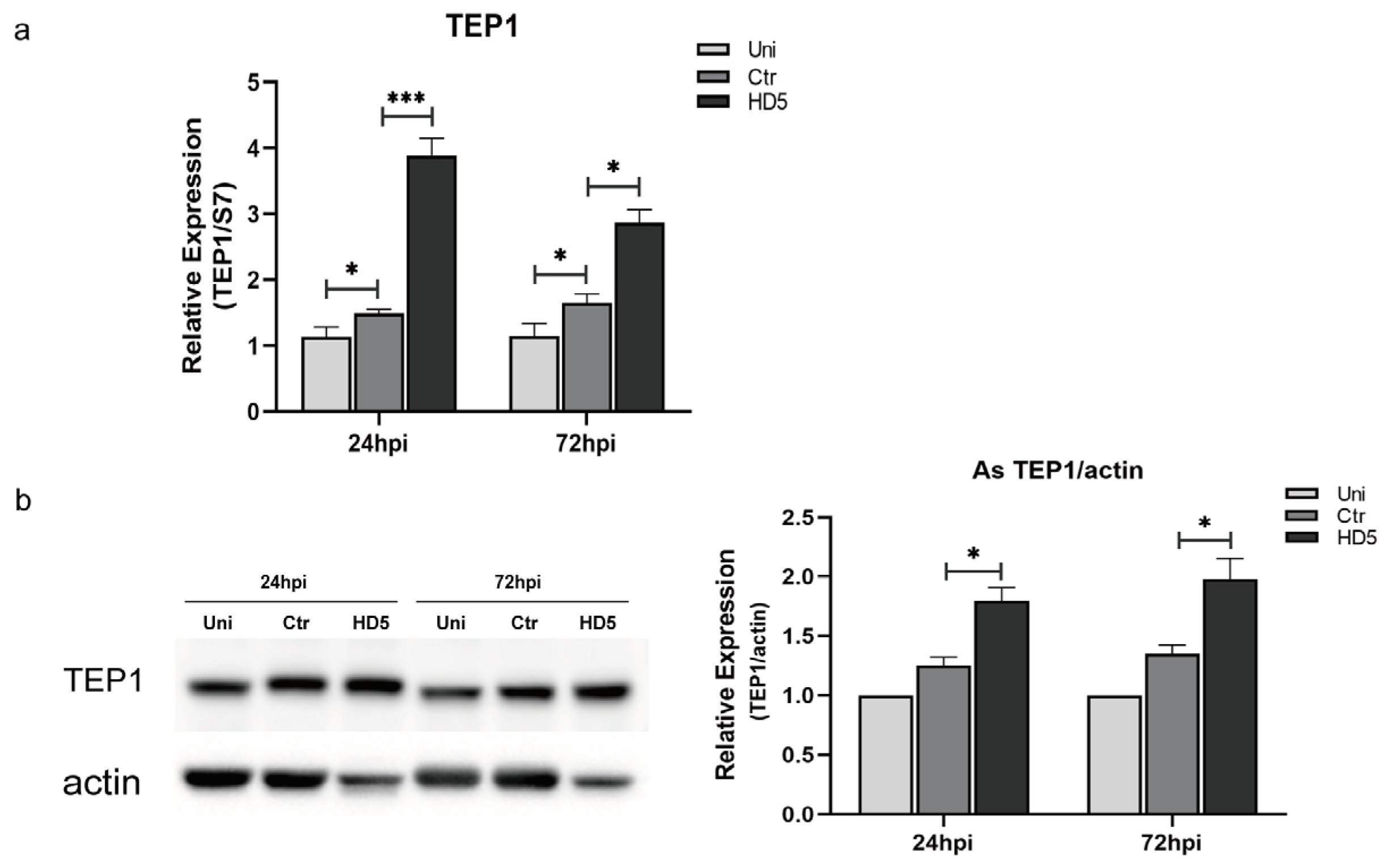 Tropicalmed 09 00169 g003