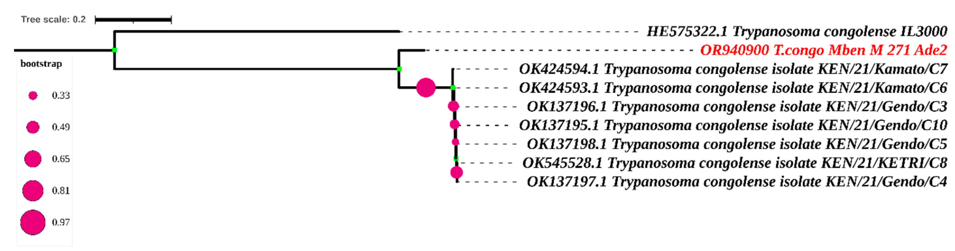 Tropicalmed 09 00192 g006