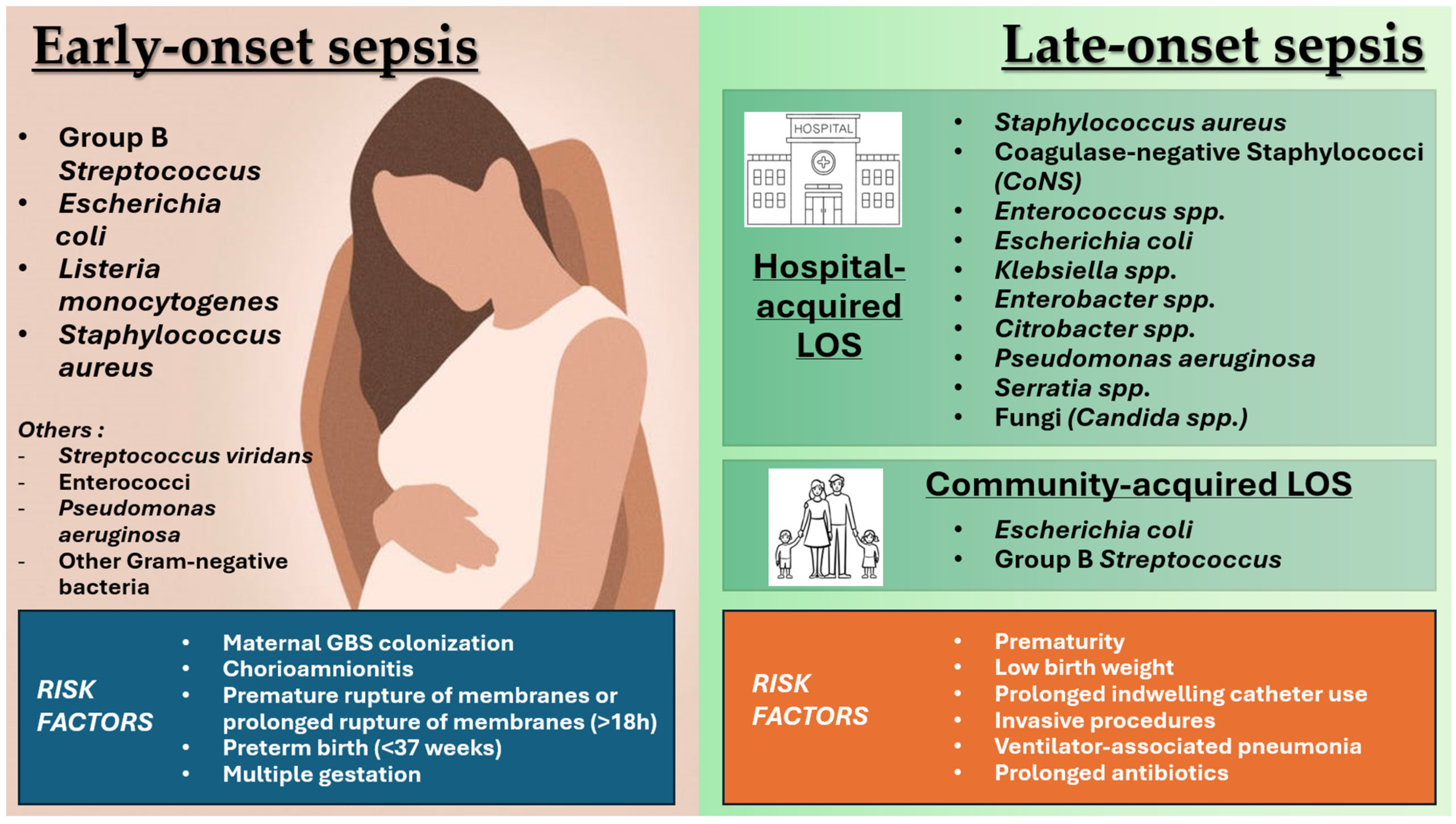 Tropicalmed 09 00199 g001