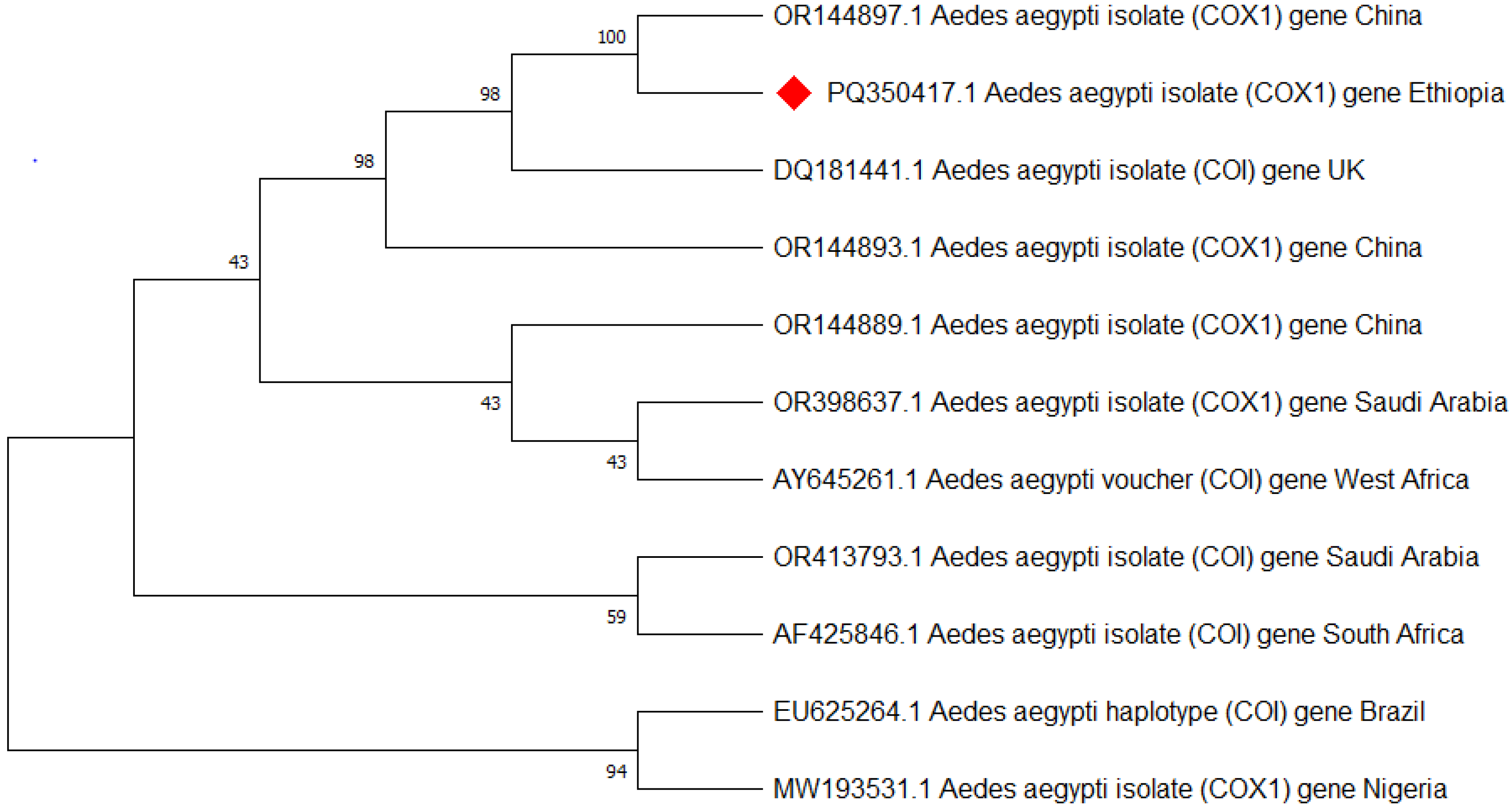 Tropicalmed 10 00038 g005