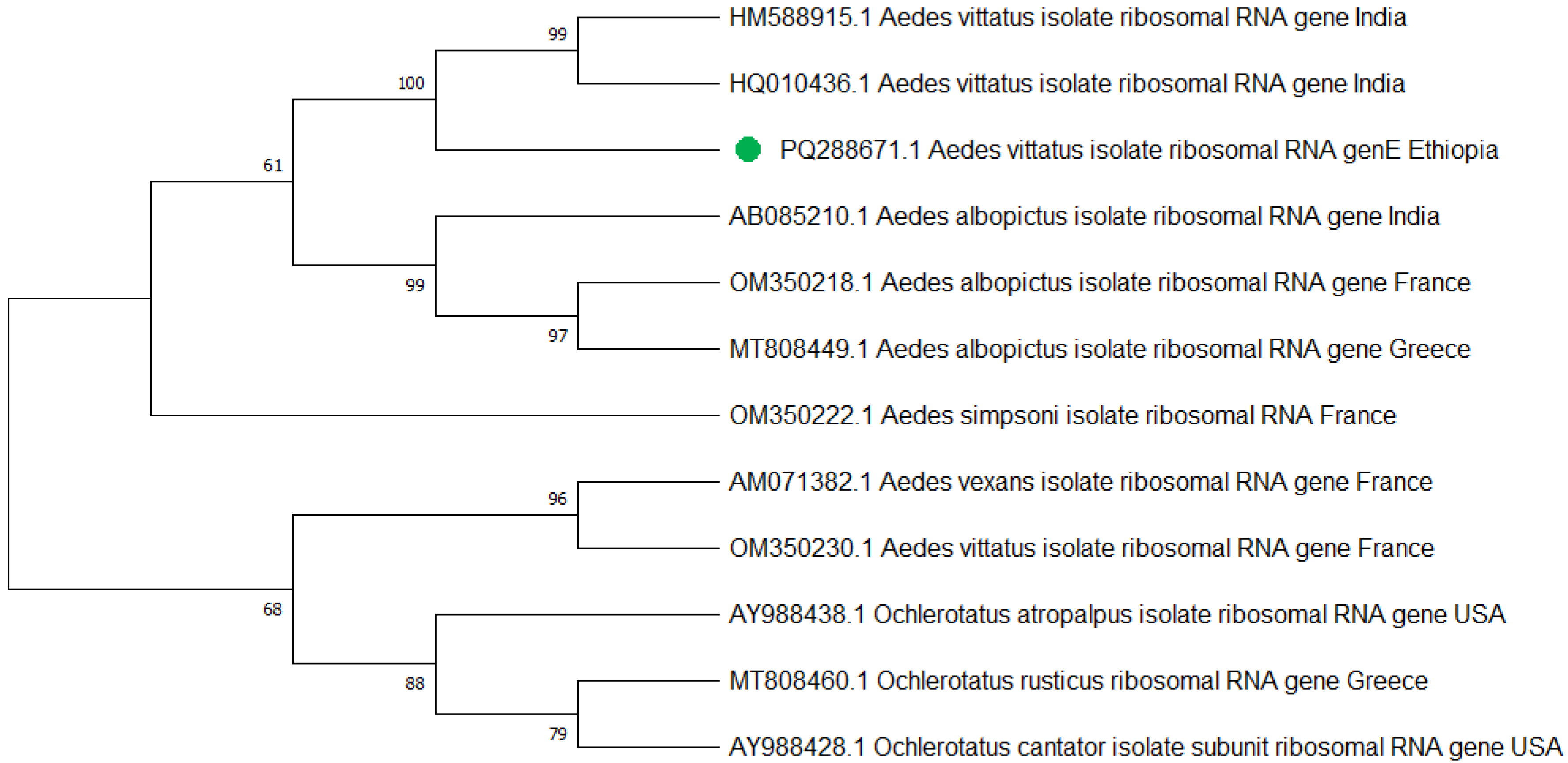 Tropicalmed 10 00038 g006