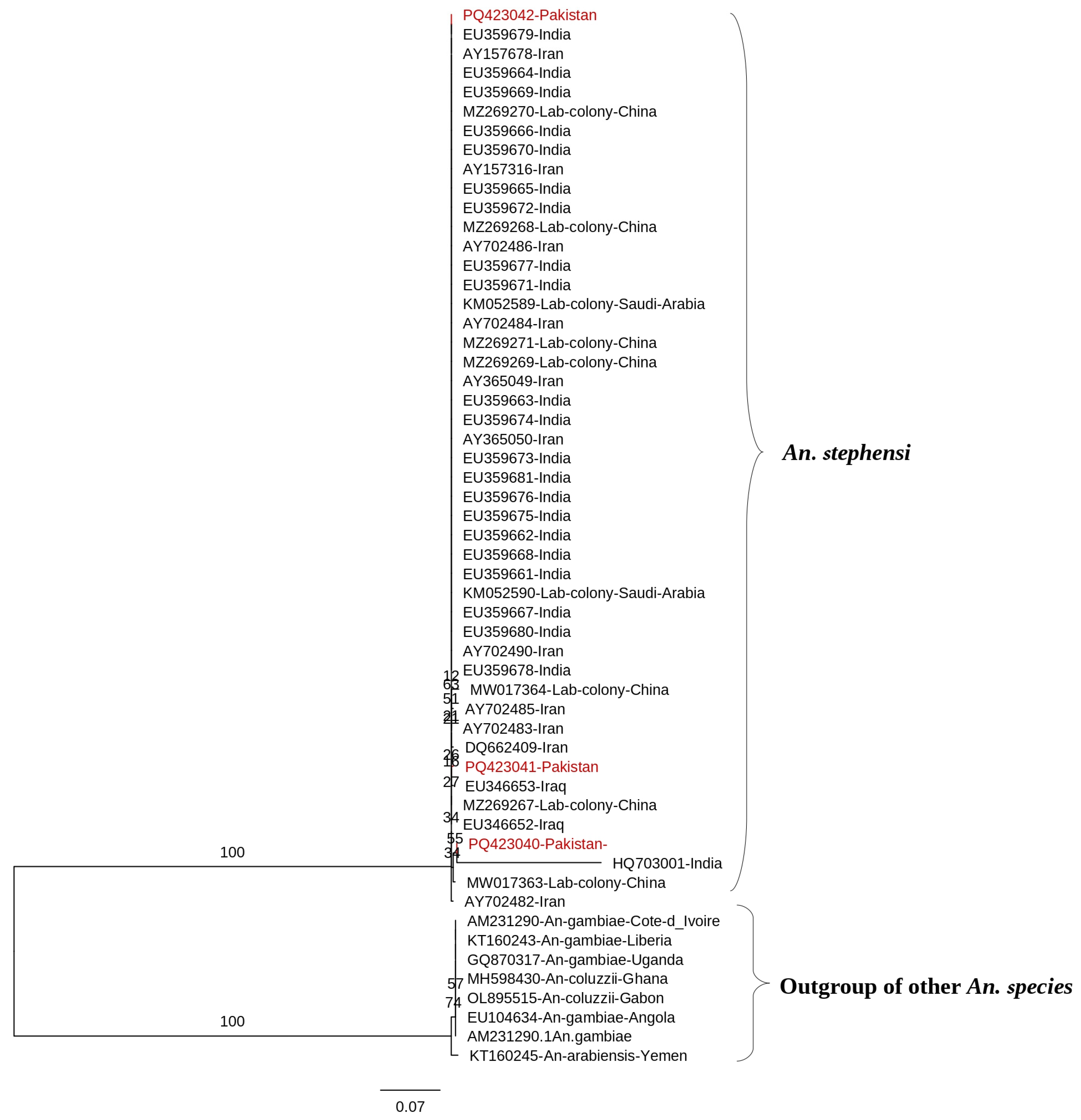 Tropicalmed 10 00109 g005