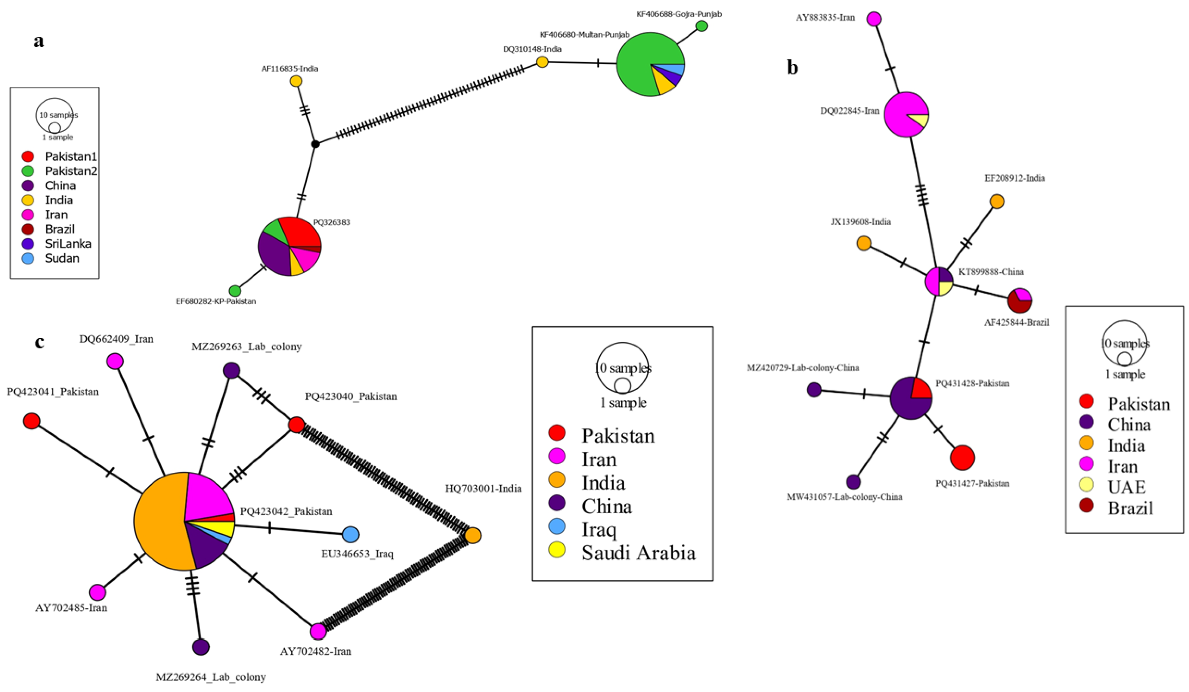 Tropicalmed 10 00109 g006