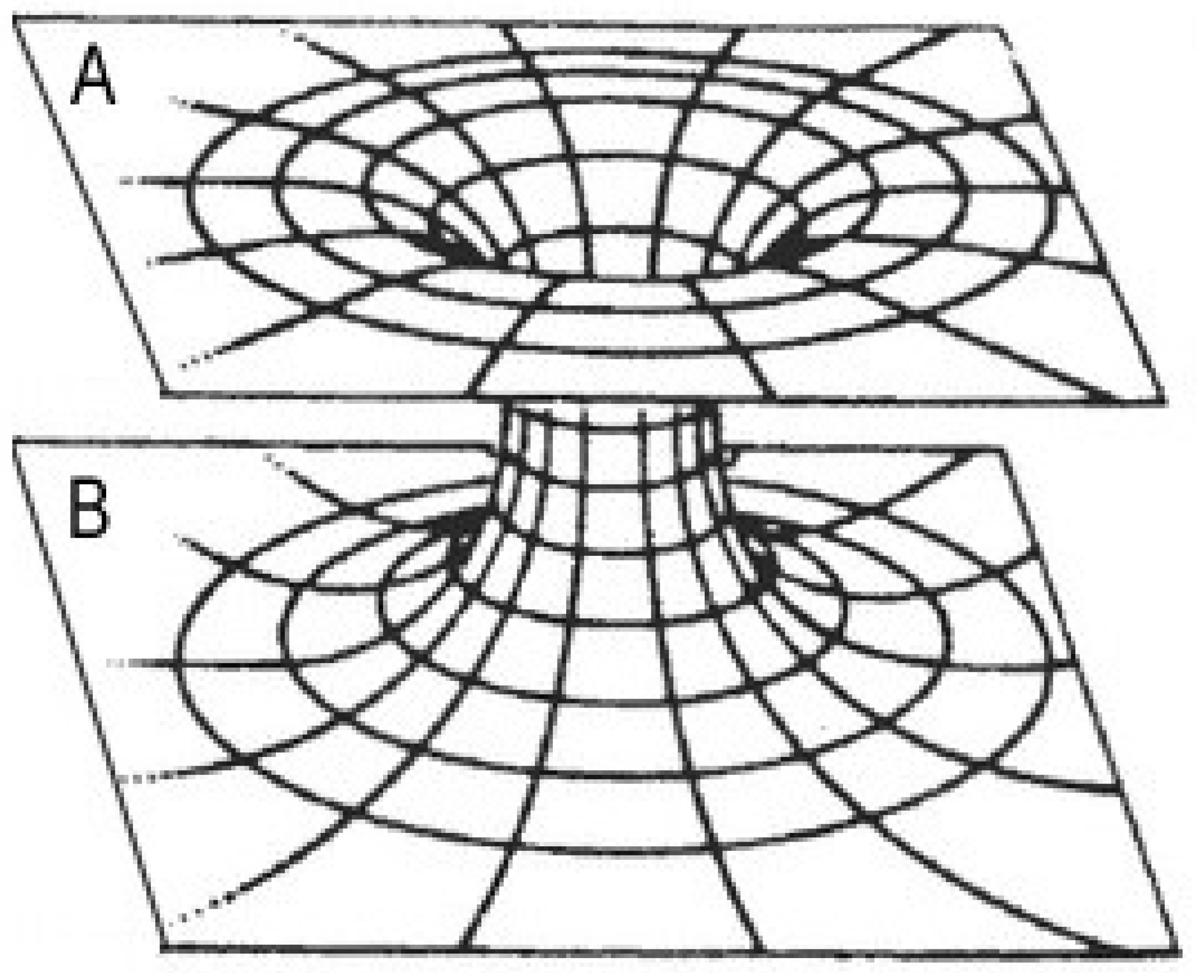 Universe 11 00347 g001 Universe 11 00347 g001