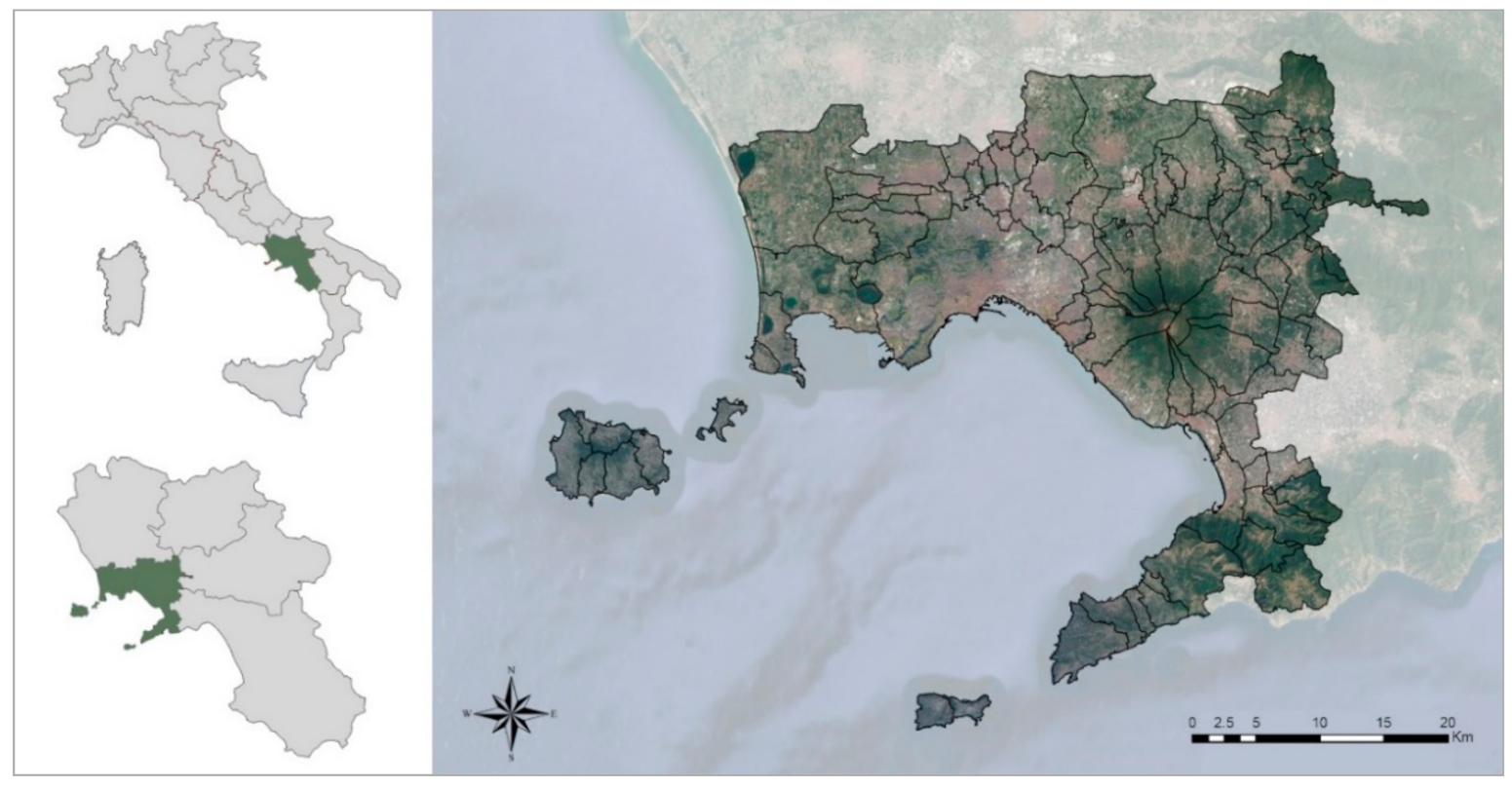 Urban Science | Free Full-Text | Real Estate Market Responses to the  COVID-19 Crisis: Which Prospects for the Metropolitan Area of Naples  (Italy)?