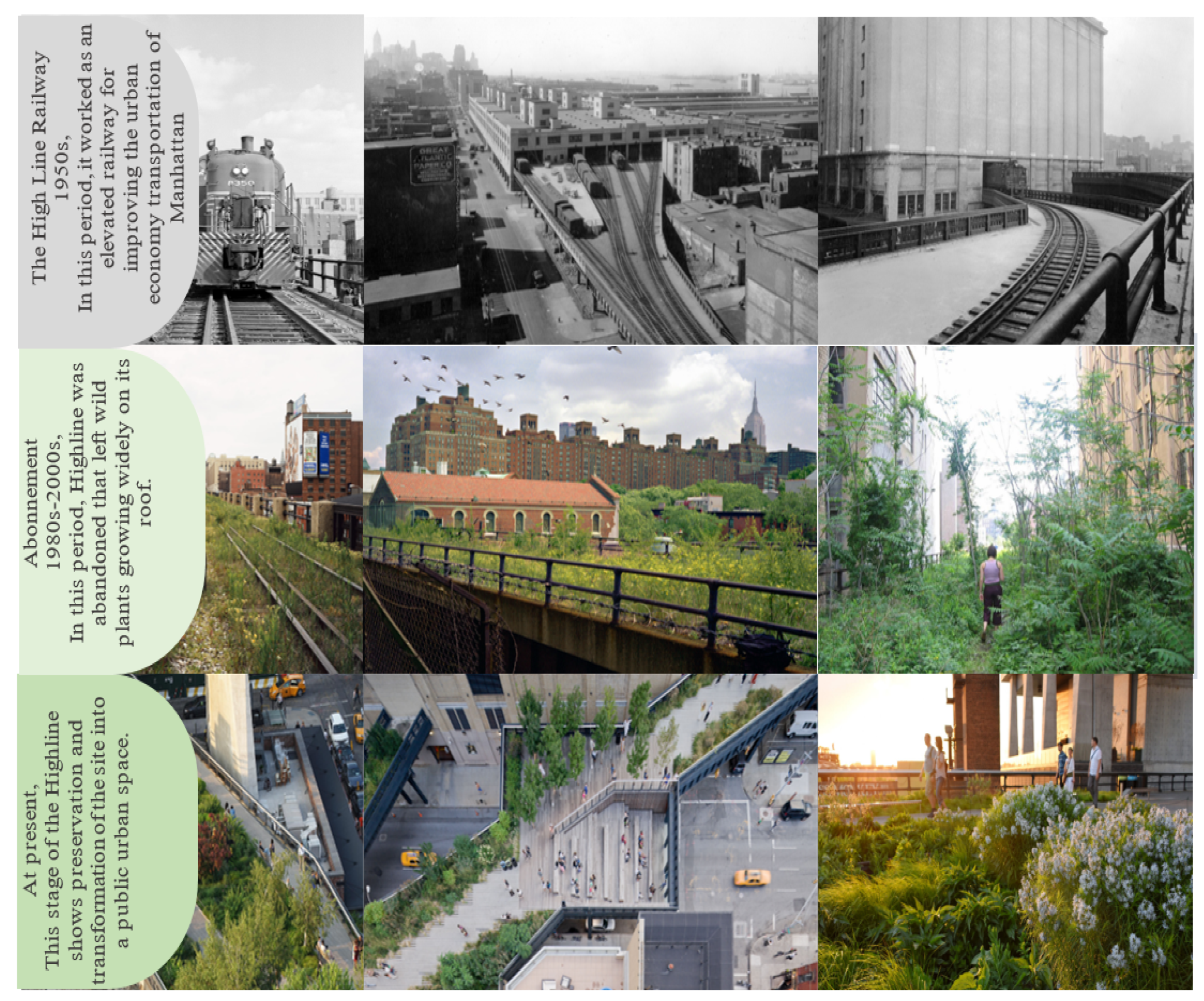 Urban Science | Free Full-Text | Lessons from New York High Line Green  Roof: Conserving Biodiversity and Reconnecting with Nature