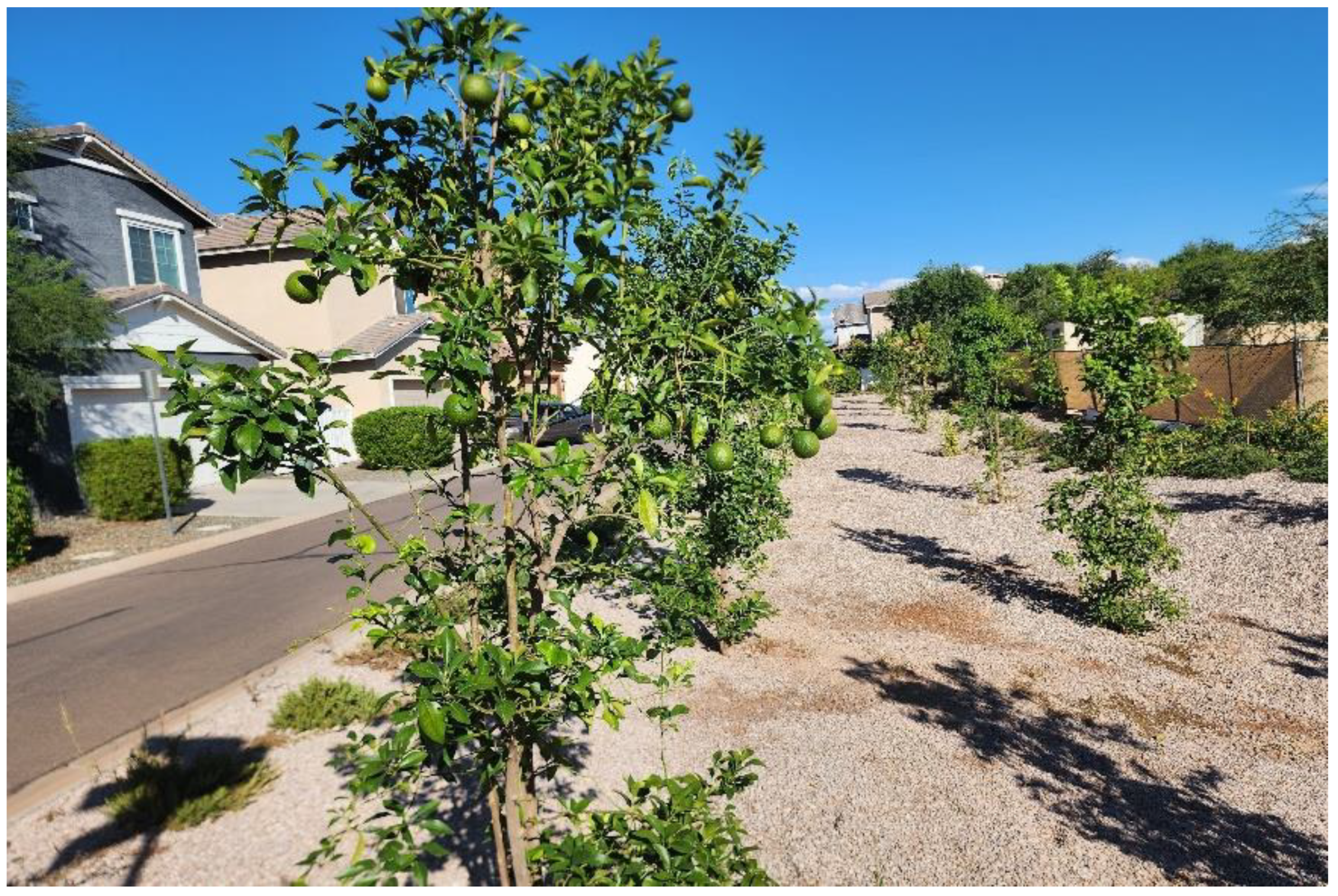 Urbansci 07 00054 g005 Urbansci 07 00054 g005