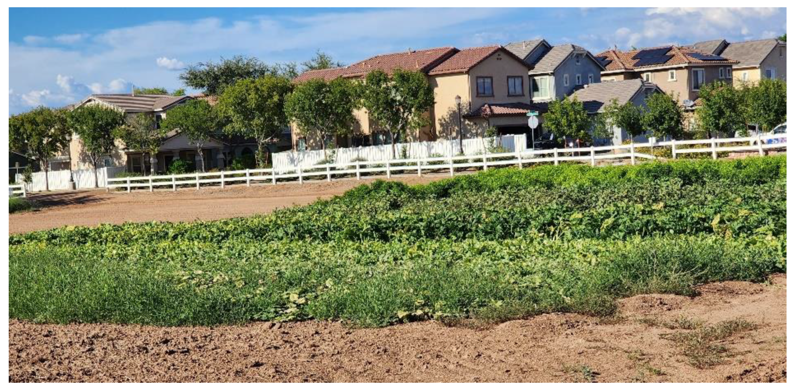 Urbansci 07 00054 g006 Urbansci 07 00054 g006