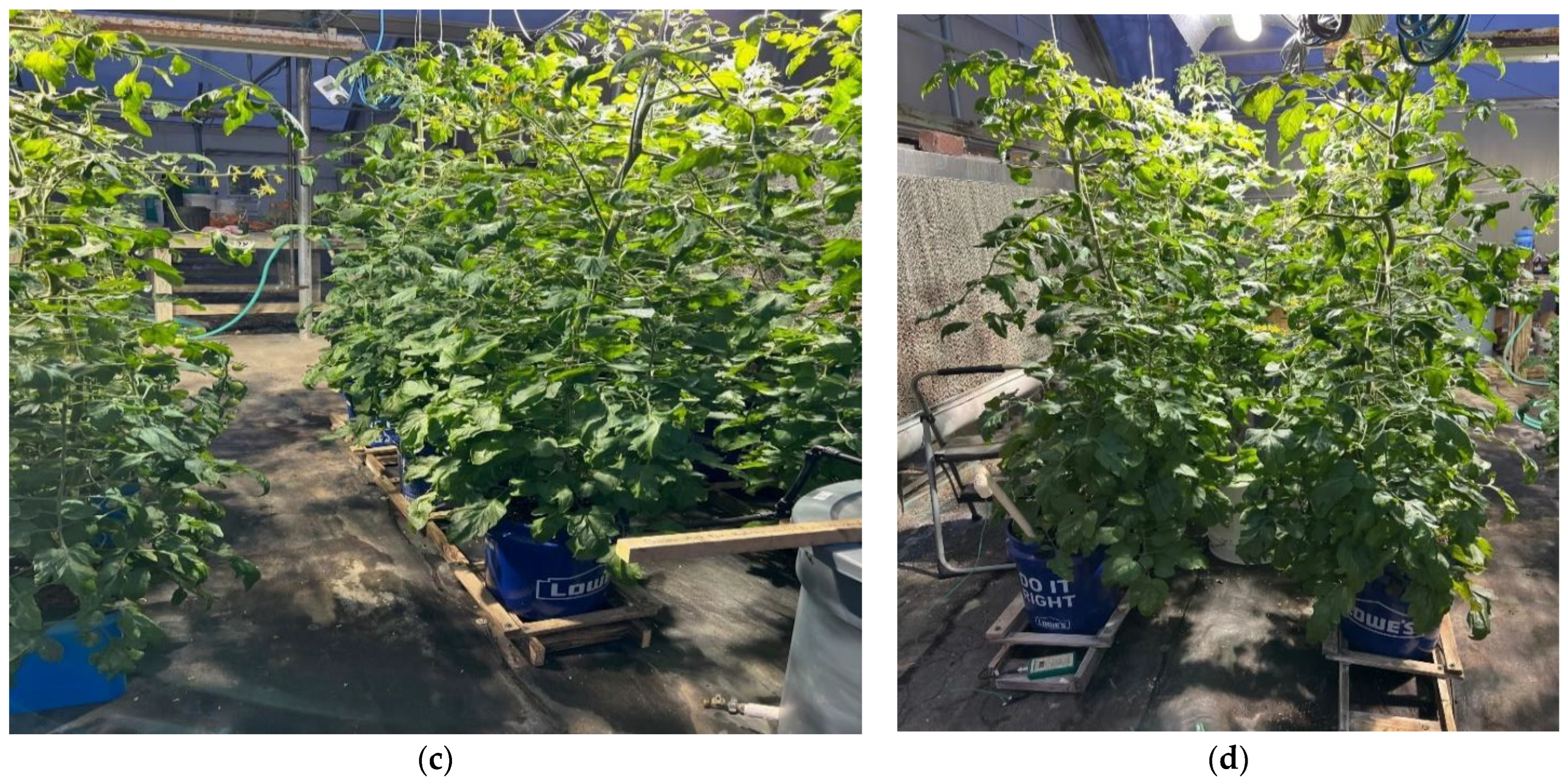 Urbansci 07 00054 g007b Urbansci 07 00054 g007b