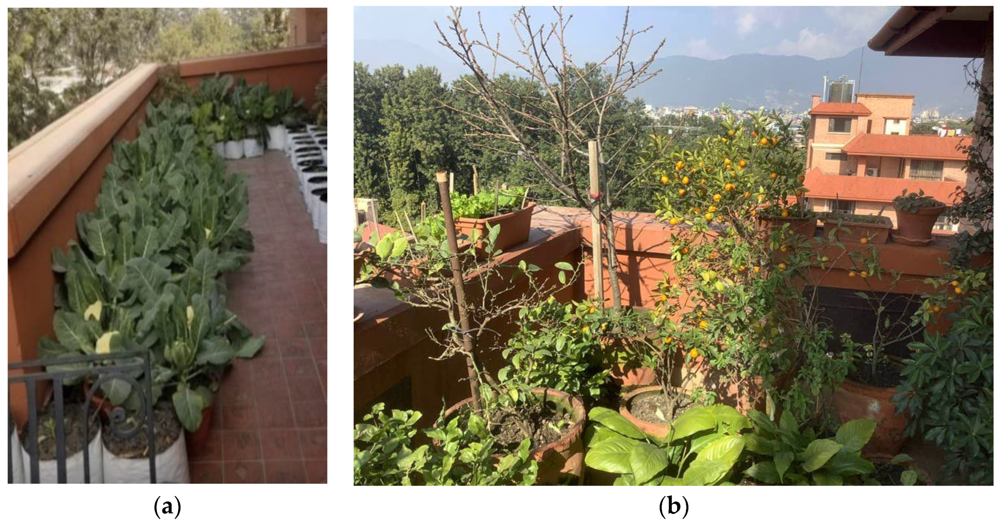 Urbansci 07 00054 g009 Urbansci 07 00054 g009