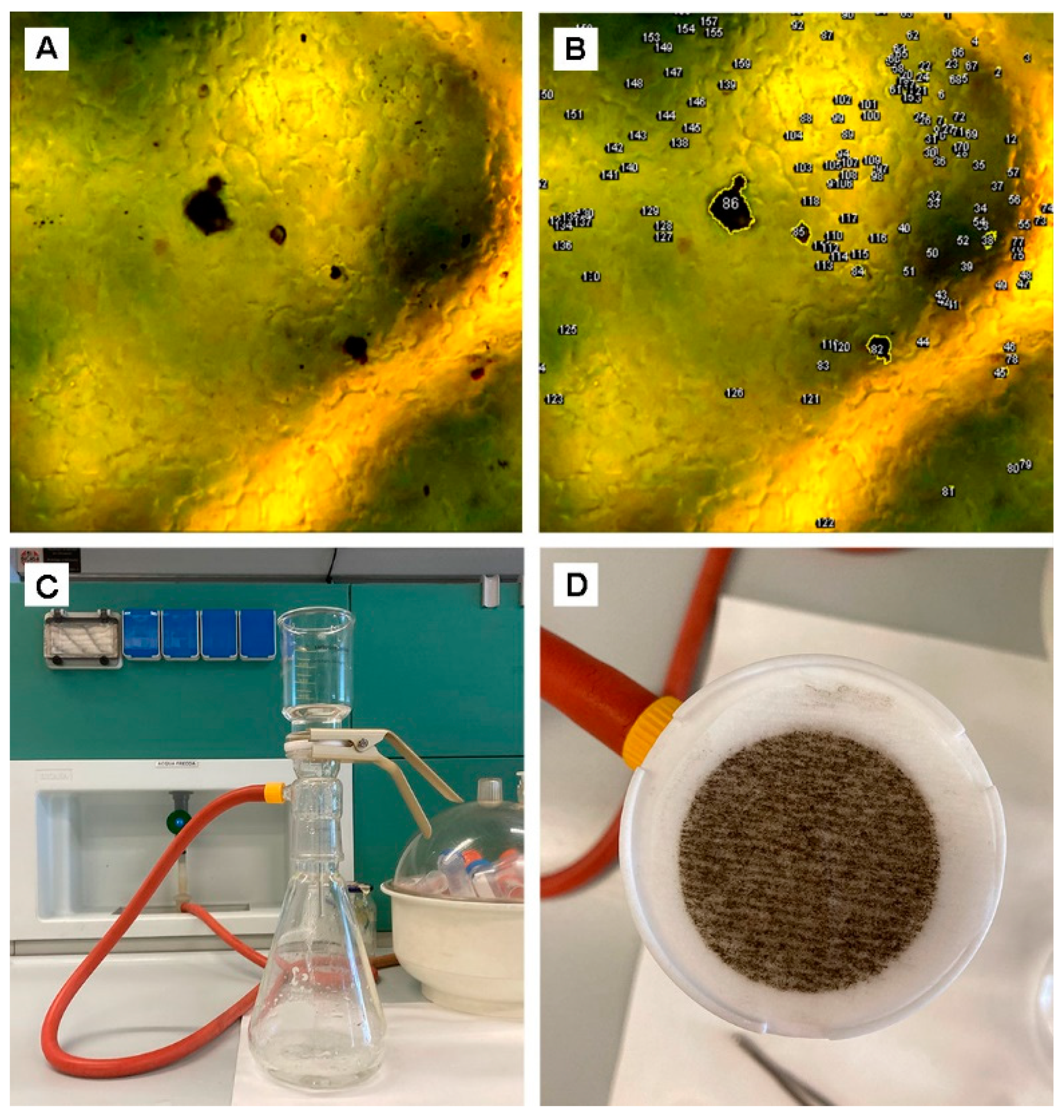 Urbansci 08 00125 g001