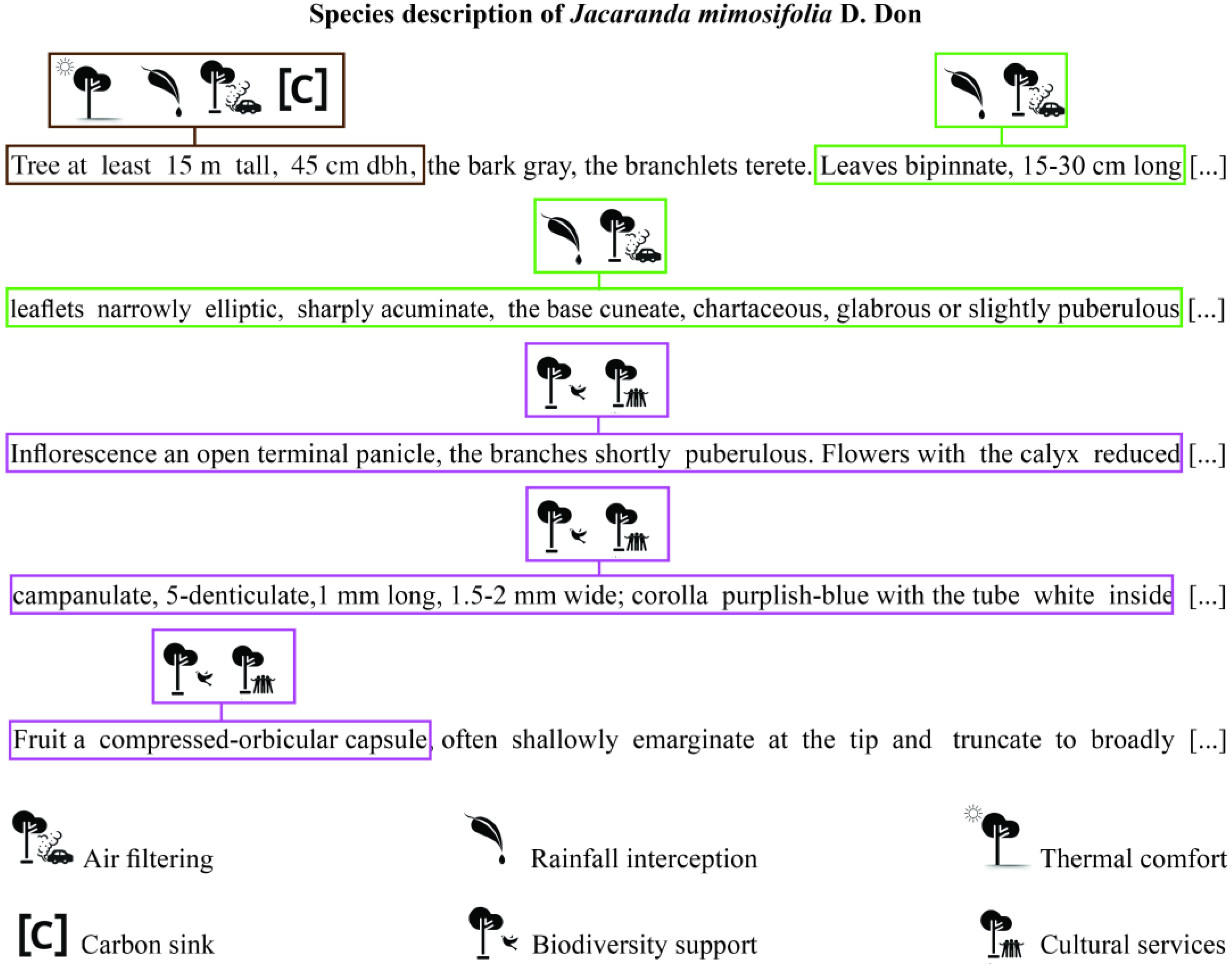 Urbansci 08 00233 g004