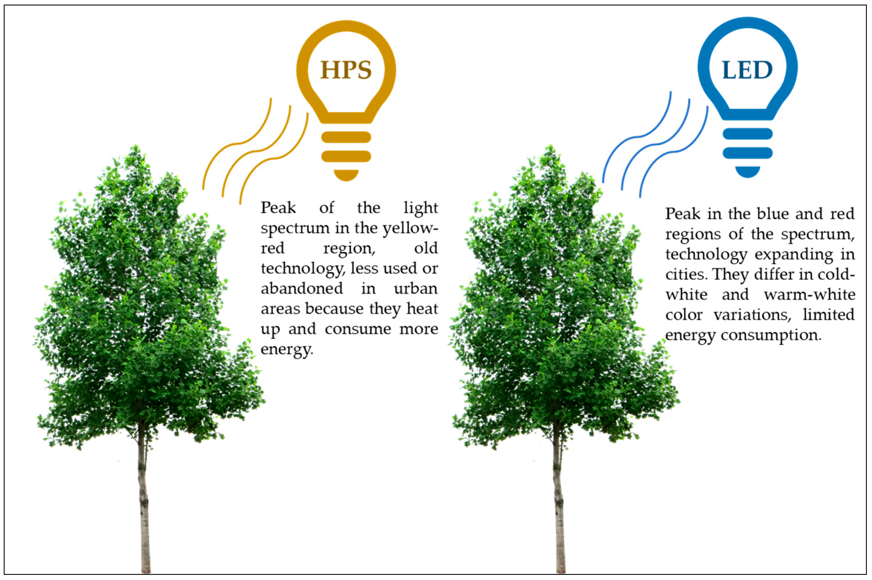Urbansci 09 00014 g001 Urbansci 09 00014 g001