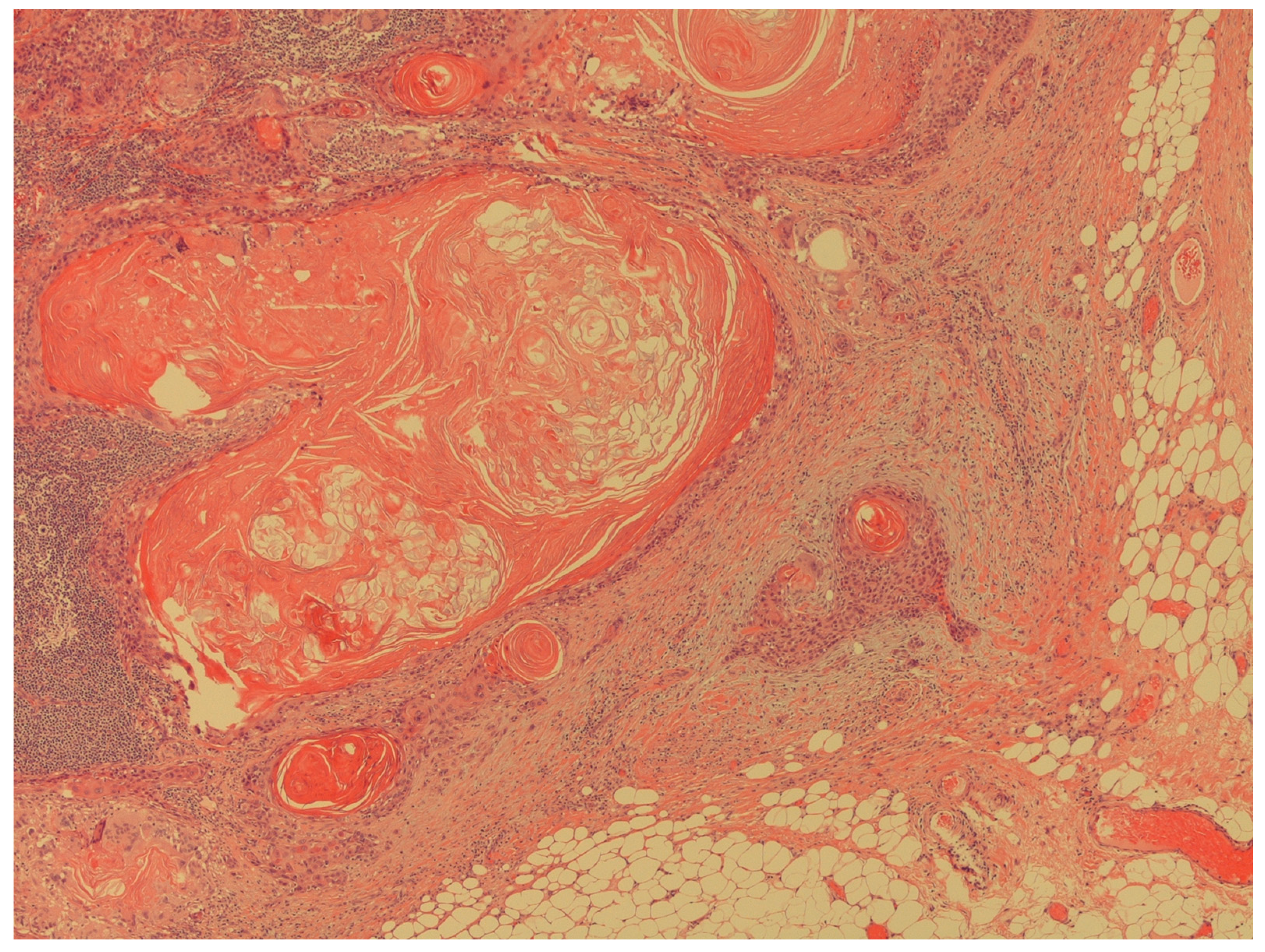 Uro 03 00025 g005