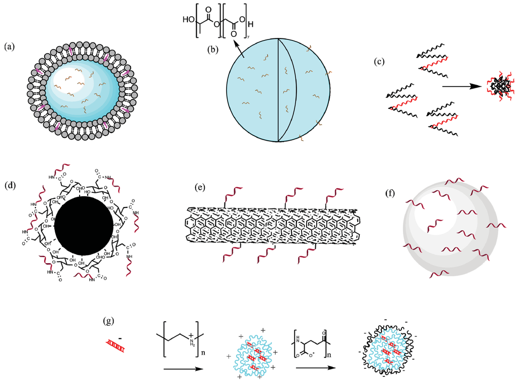 Vaccines | Free Full-Text | The Use of Synthetic Carriers in