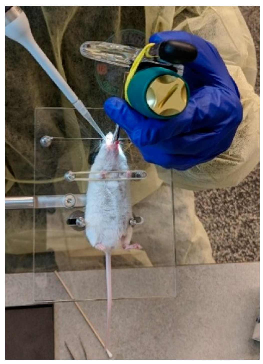 Vaccines 06 00041 g004