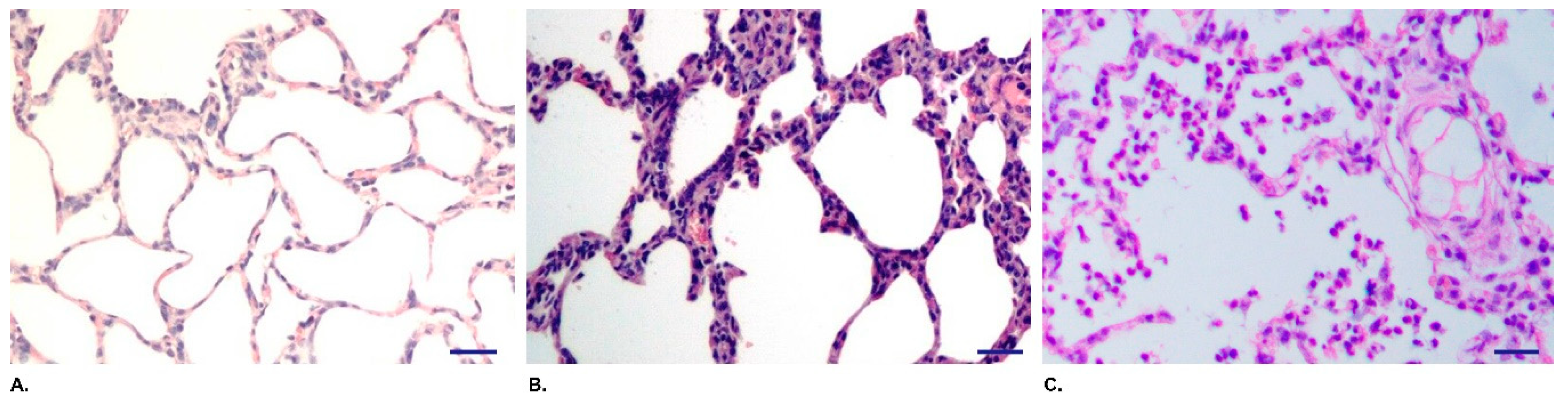 Vaccines 07 00176 g002