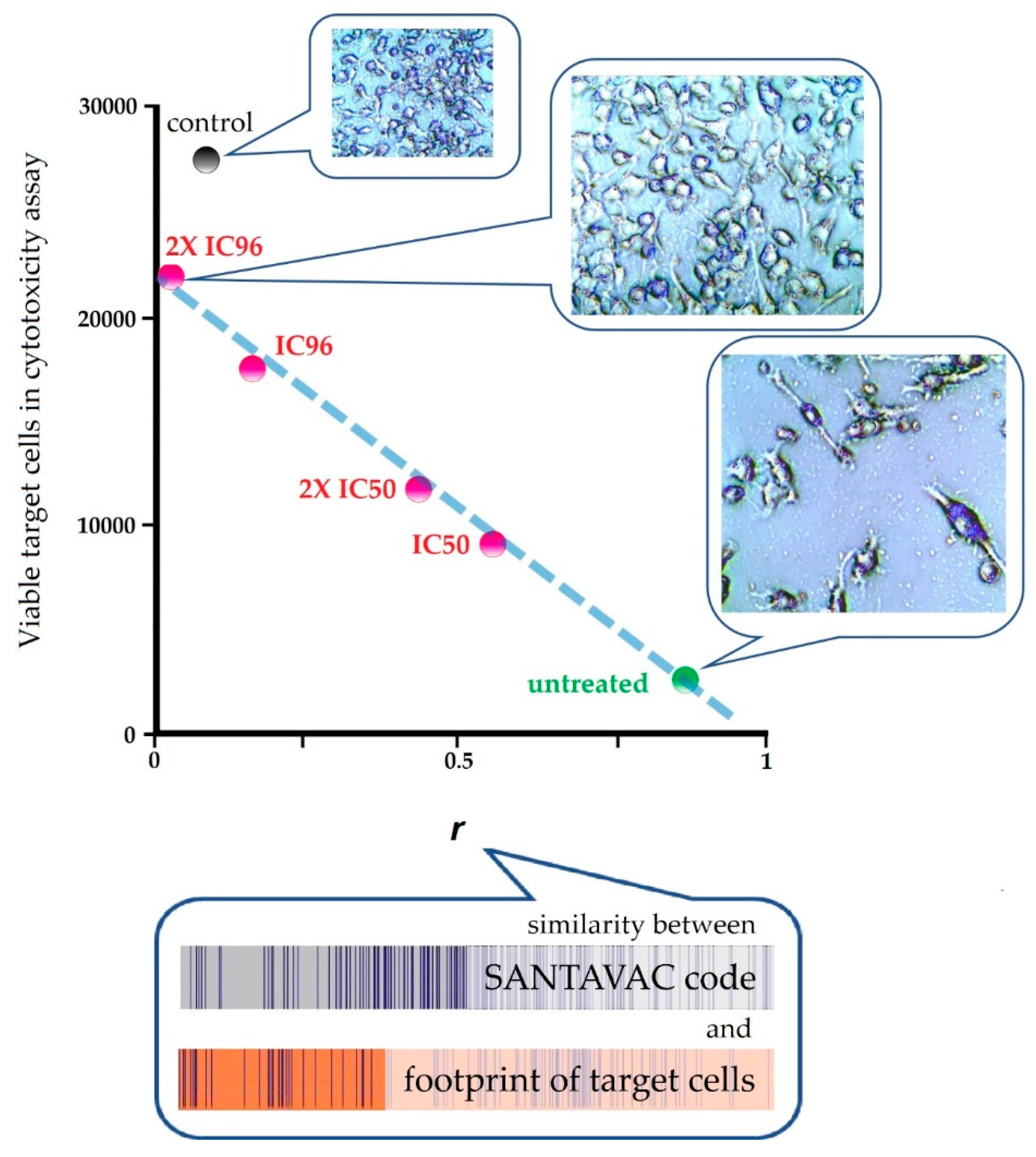 Vaccines 07 00186 g004